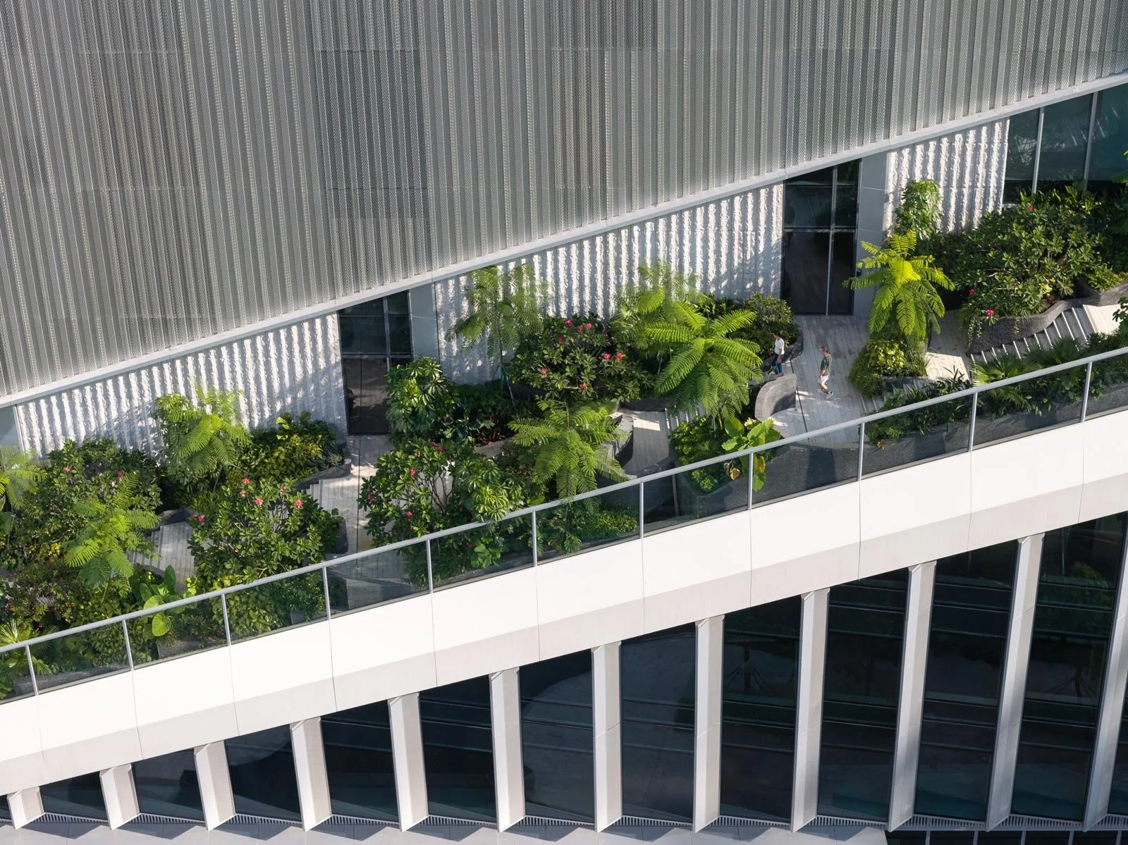 tp-link, tp-link lxd, kpf tp-link, kohn pedersen fox shenzhen office tower, shenzhen office, china tp-link