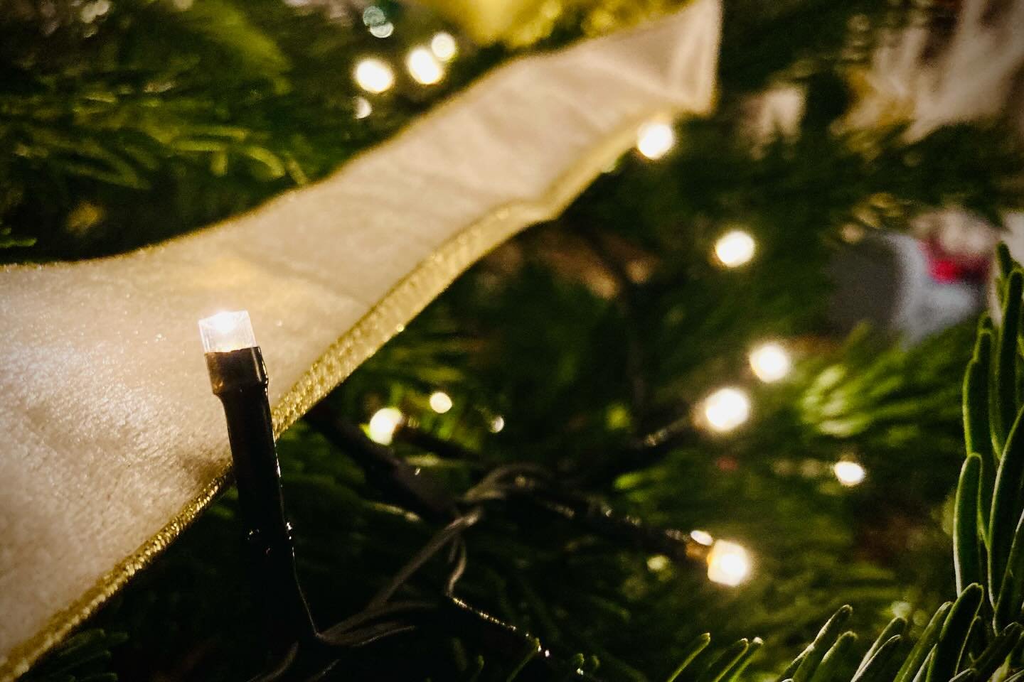 SHUTDOWN &amp; SECURE CHECKLIST
Taxi Lights - OFF
Landing Lights - OFF
Christmas Lights - ON
All other switches - OFF

We hope you&rsquo;re enjoying our products in Microsoft Flight Simulator. A special thank you for everyone who&rsquo;s joined us fl