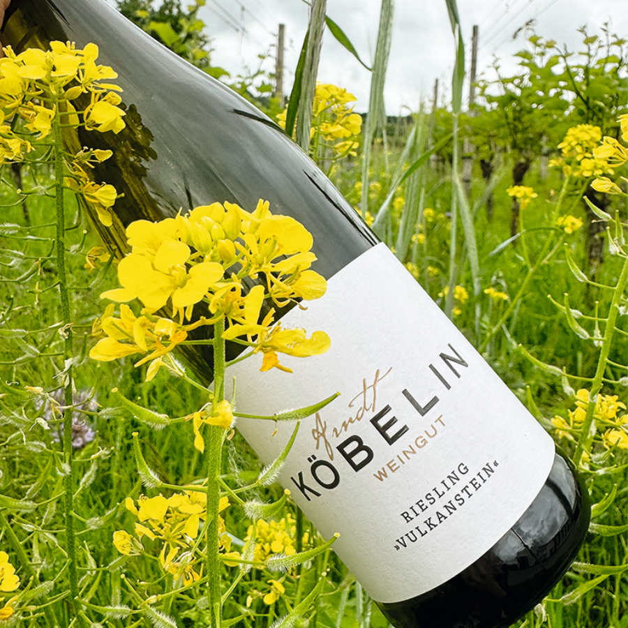 20. - 23. MÄRZ 2026 VORSTELLUNG DES NEUEN WEINJAHRGANGS 