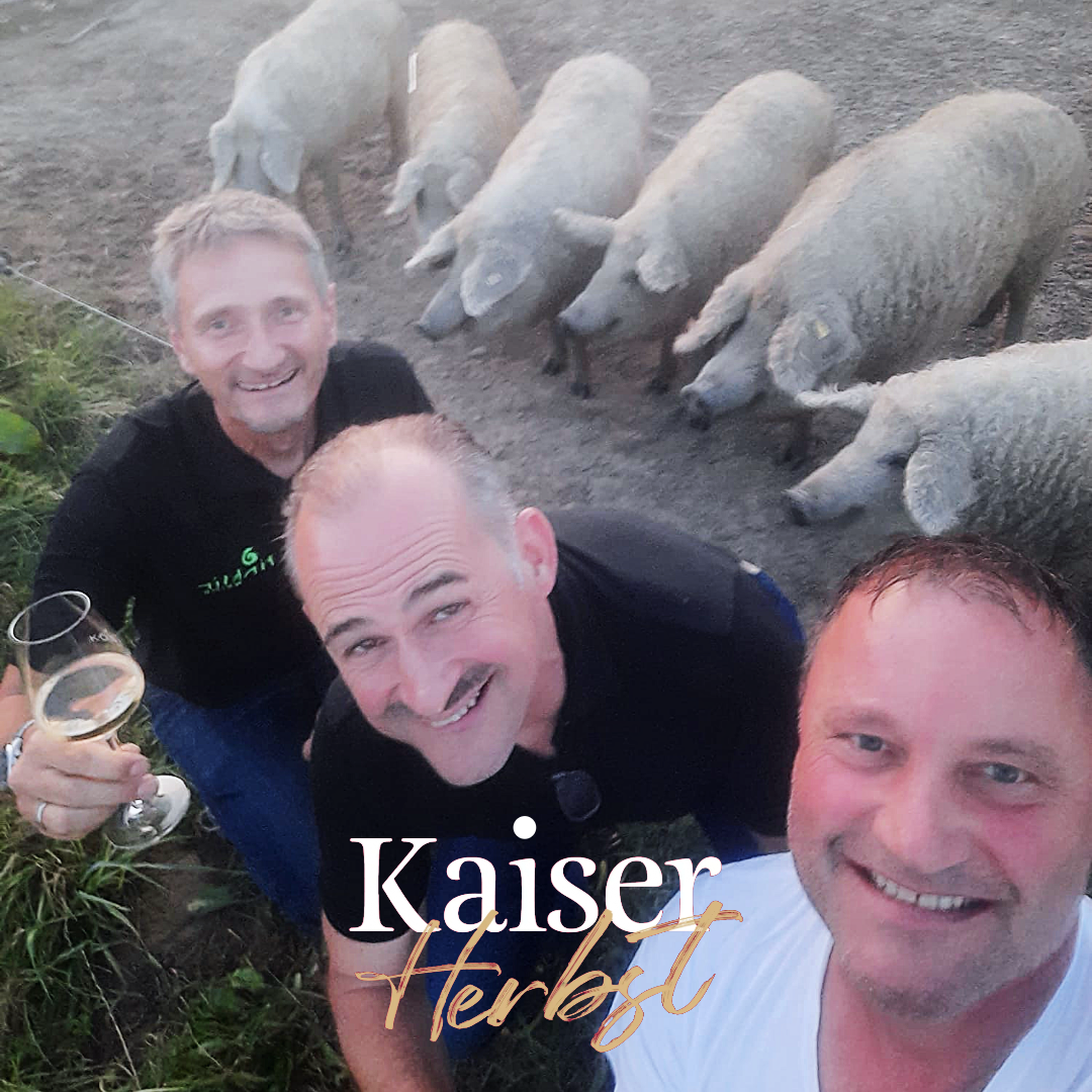 WEIN - SCHAF - SCHWEIN 