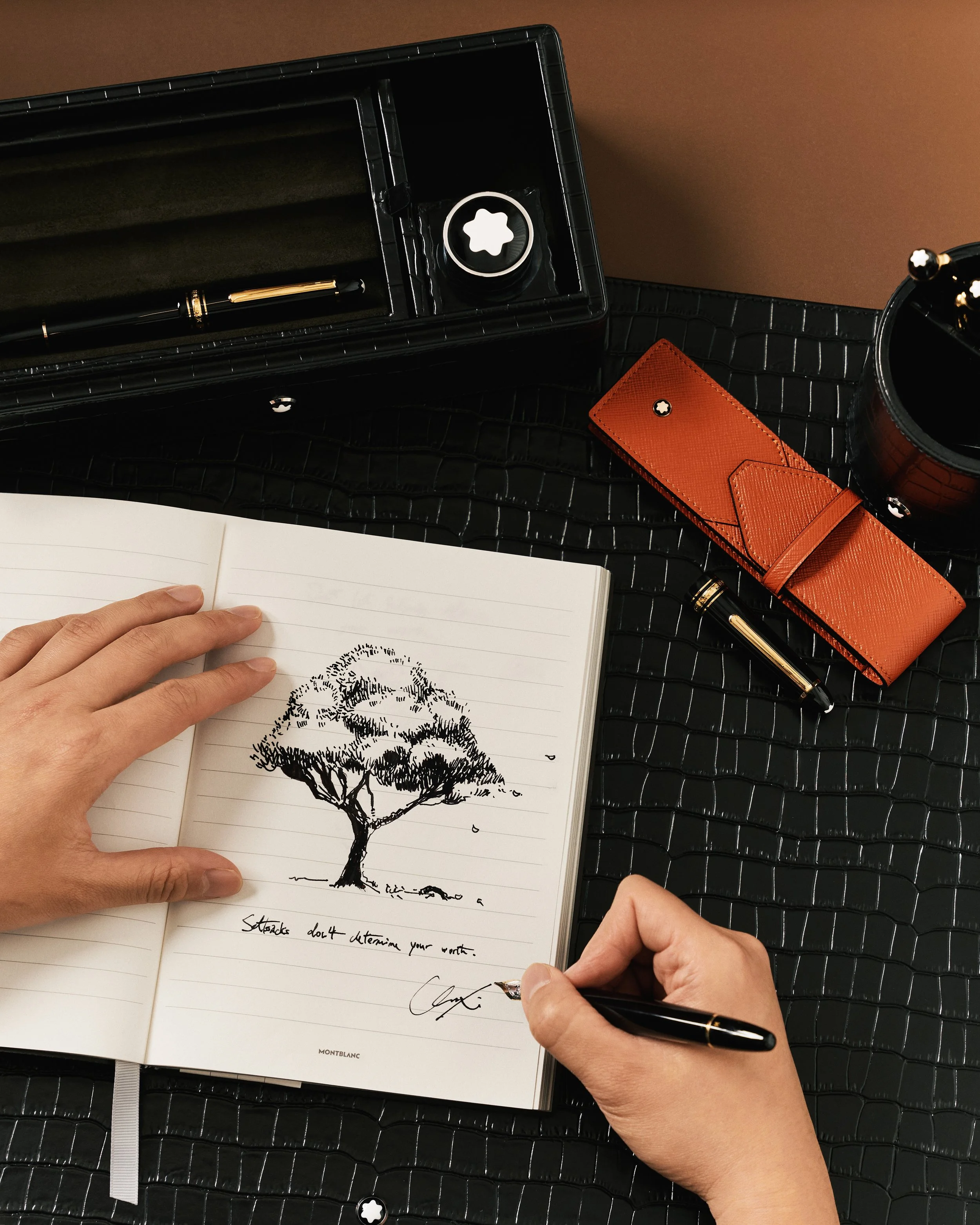 MONTBLANC_MEISTERSTUCK_CHENXI_3.jpg