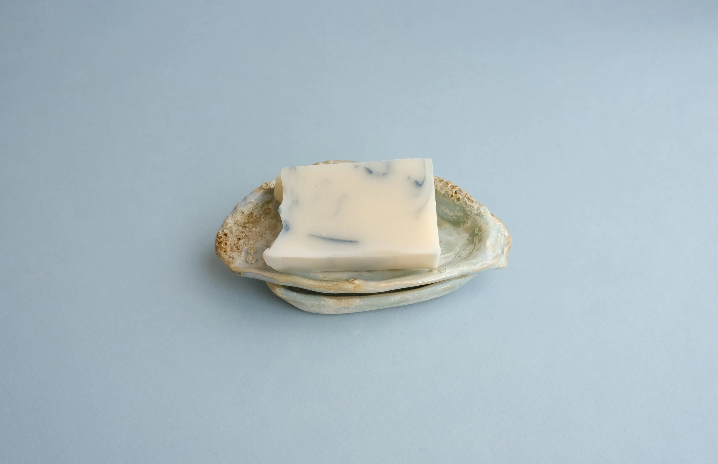 Porte savon Huitre