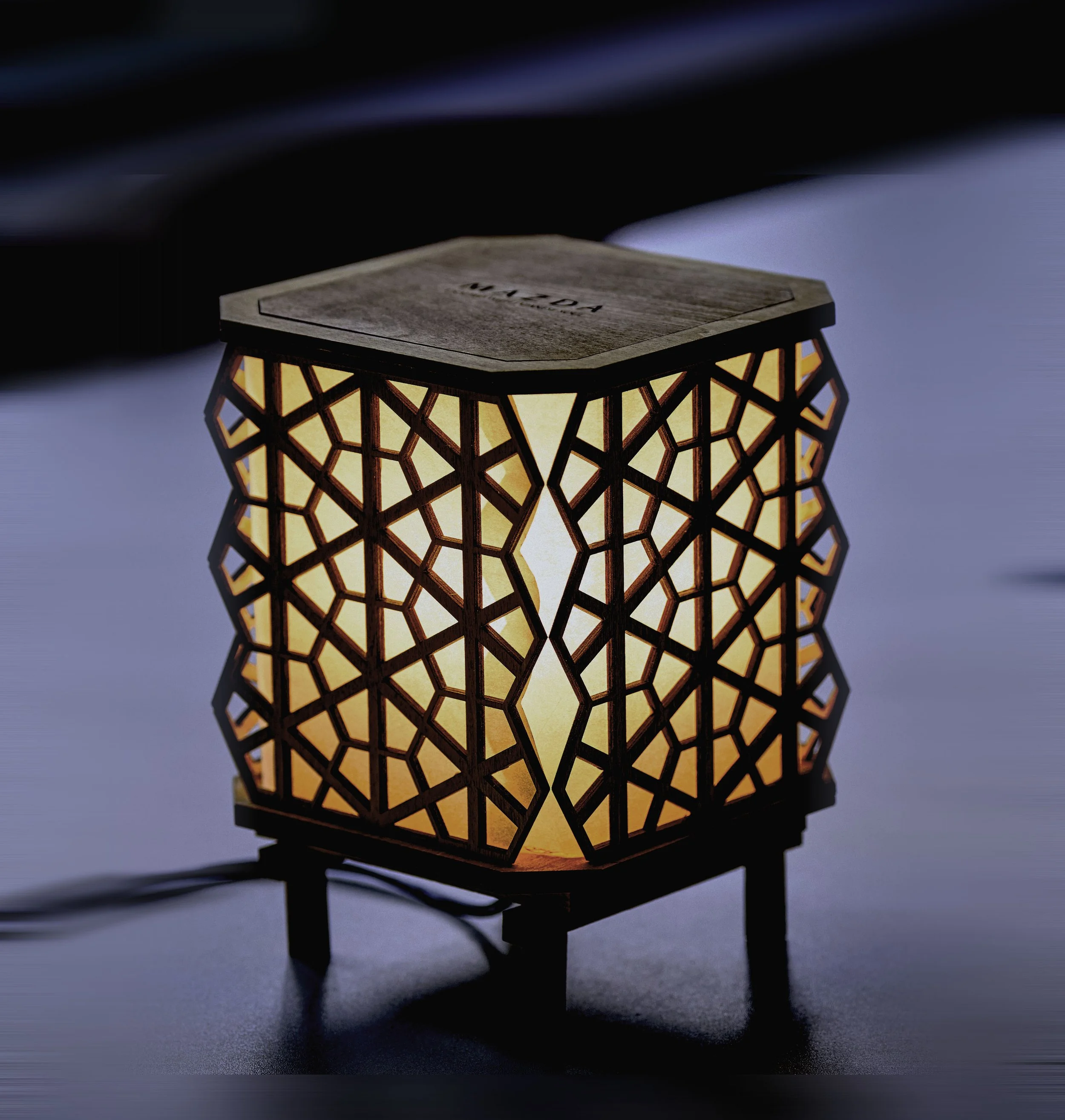 ©SilkeSteinrathsPhotography_Lamp0.jpg
