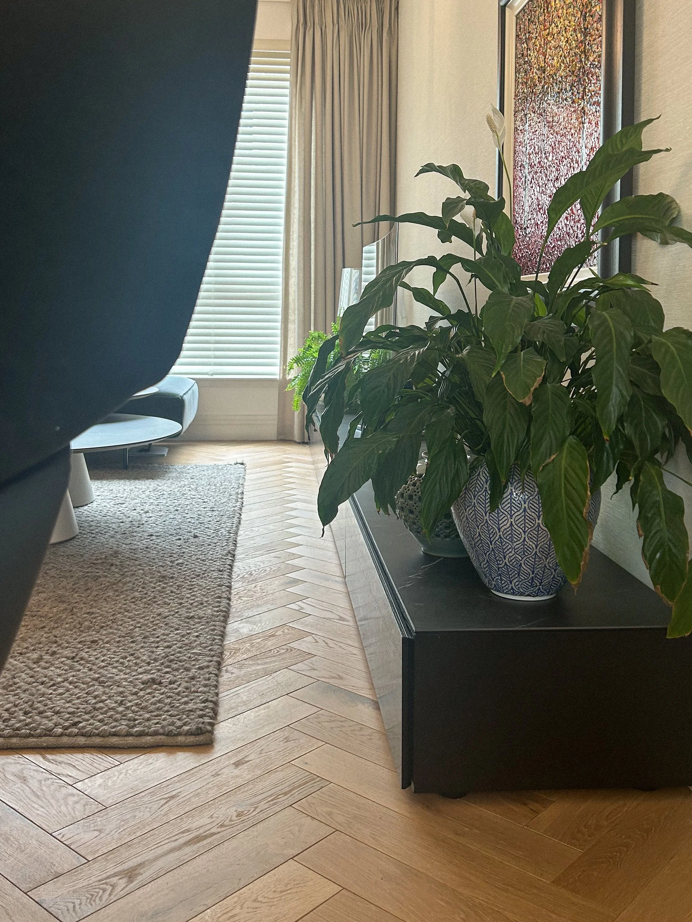 Indoor living room corner with a large potted plant on a black cabinet, wooden herringbone floor, beige rug, and a window with blinds and curtains.Residential interior design project in Scotland - Interior Designer Scotland - Interiors 