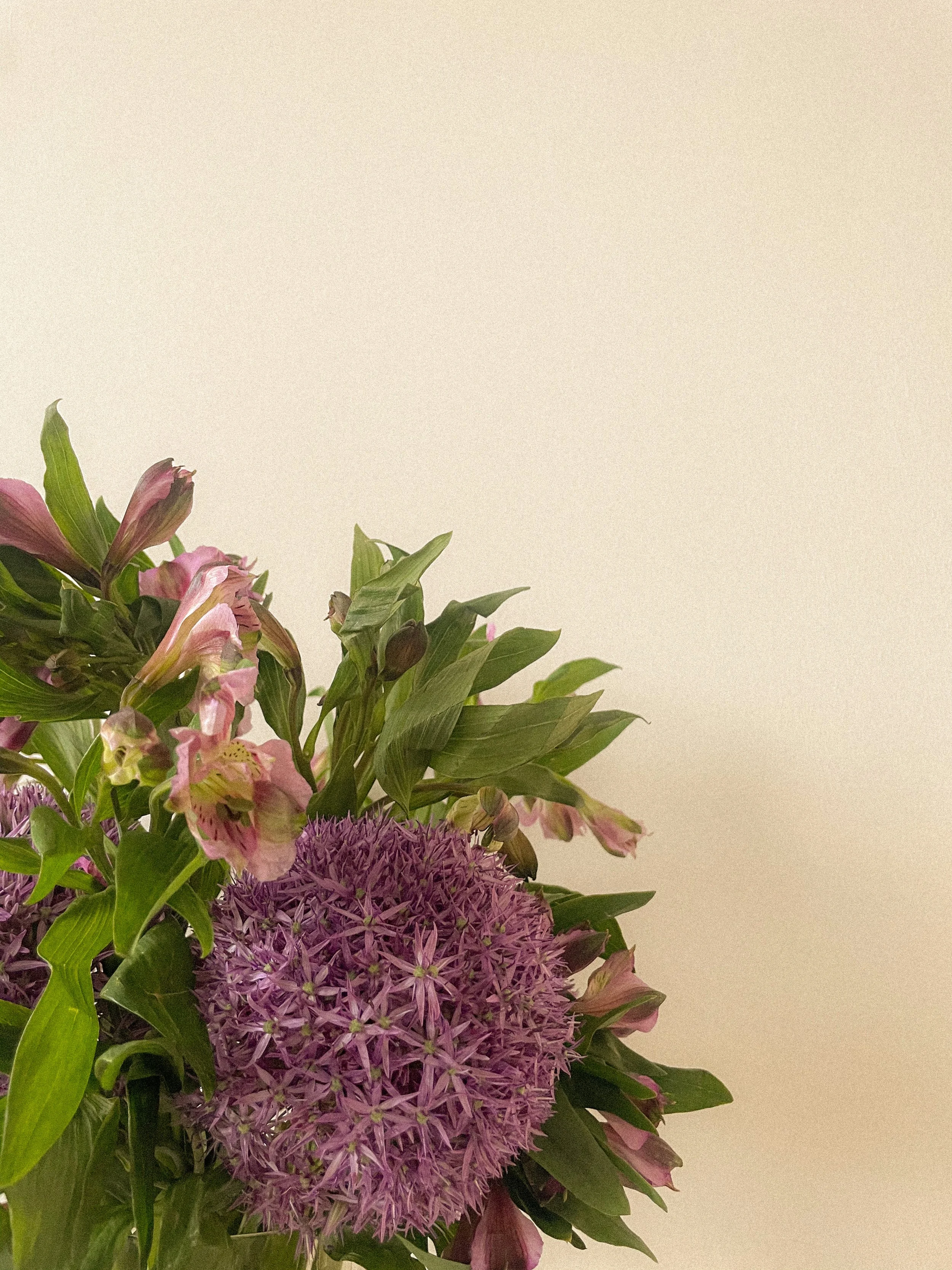 Partial view of a bouquet with purple allium and pink flowers against a plain beige wall.“Residential interior design project in Scotland by [Studio Name], working across Glasgow, Edinburgh, Dundee and the Highlands.”

“Contemporary Scottish interior