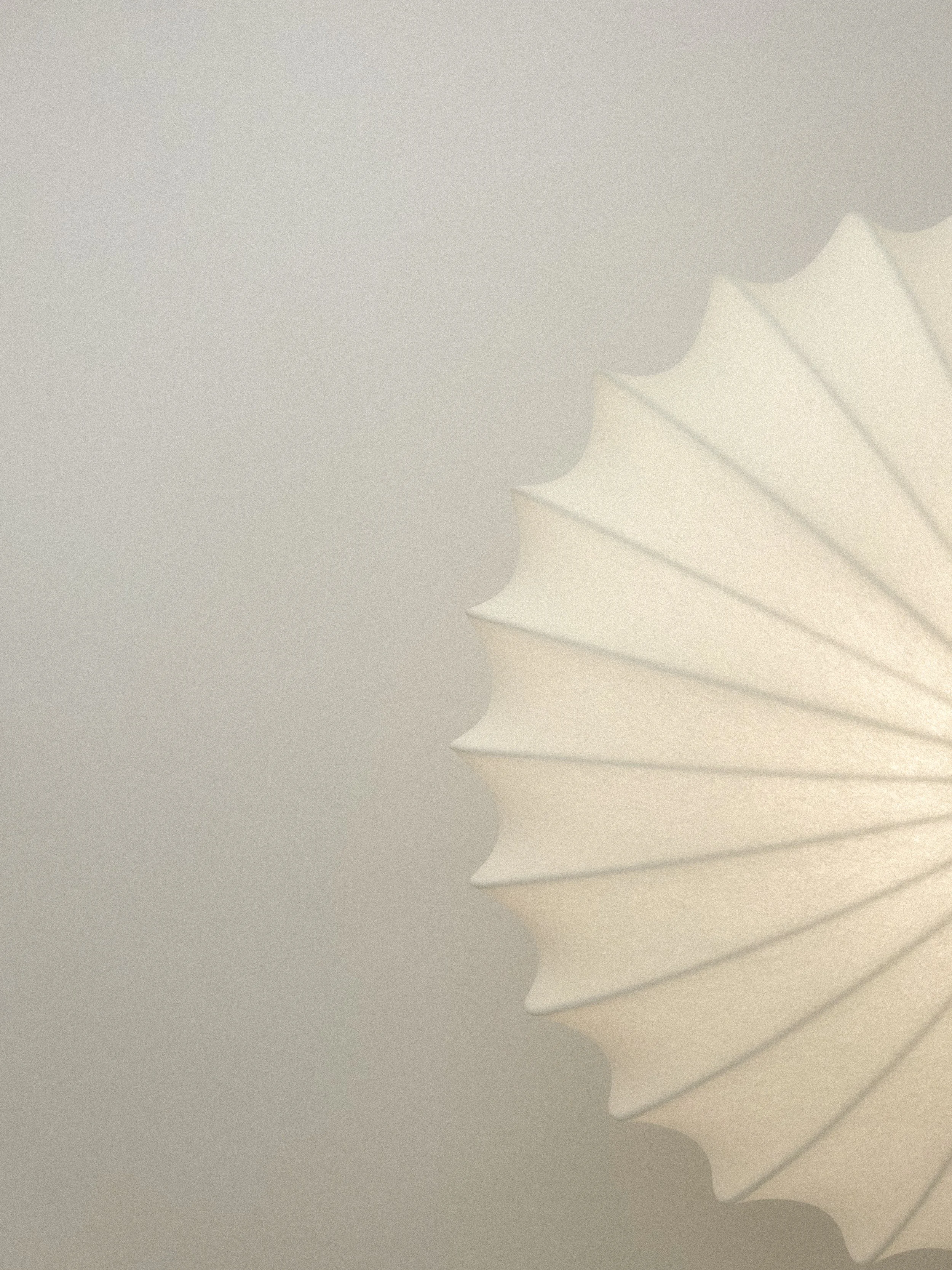 Close-up of a person blowing out a paper folding fan.“Residential interior design project in Scotland by [Studio Name], working across Glasgow, Edinburgh, Dundee and the Highlands.”

“Contemporary Scottish interior design by [Studio Name], serving ho
