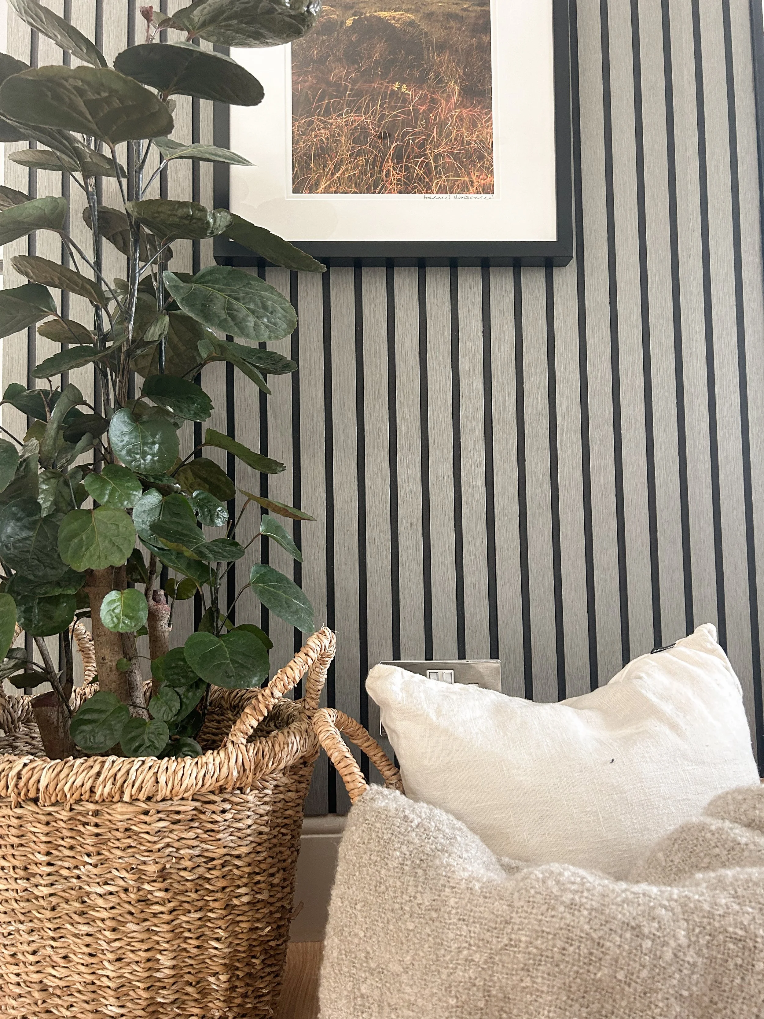 A corner of a cozy room with a large potted green plant in a woven basket placed beside a beige cushion and a white pillow on a sofa, with a framed photo hanging on a striped wall in the background.“Residential interior design project in Scotland by 