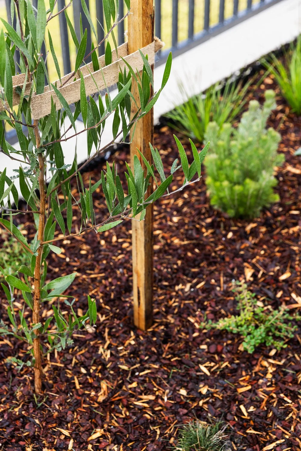 349-Maroondah-13.jpg