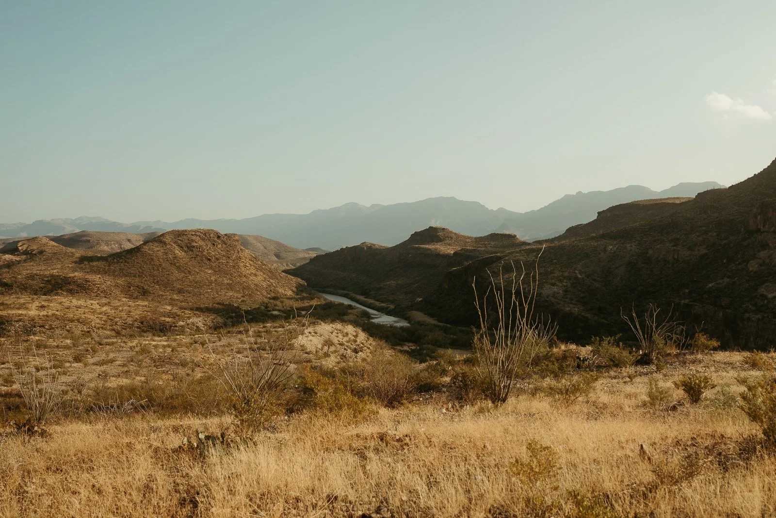 ocotillos and desert grasses surrounding the Rio Grande at Big Bend Ranch State Park