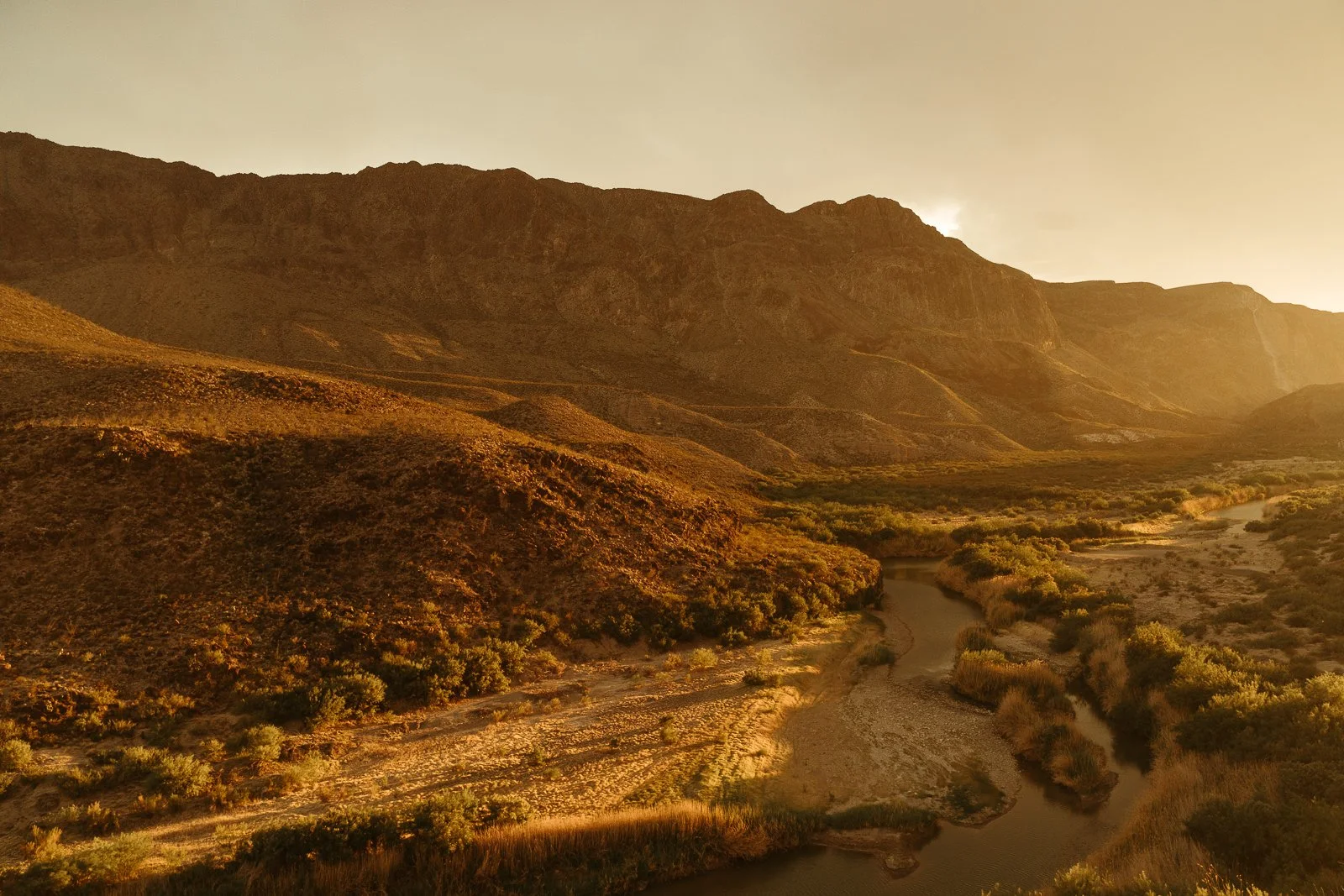 golden sunlight on the desert brush around the Rio Grande in West Texas