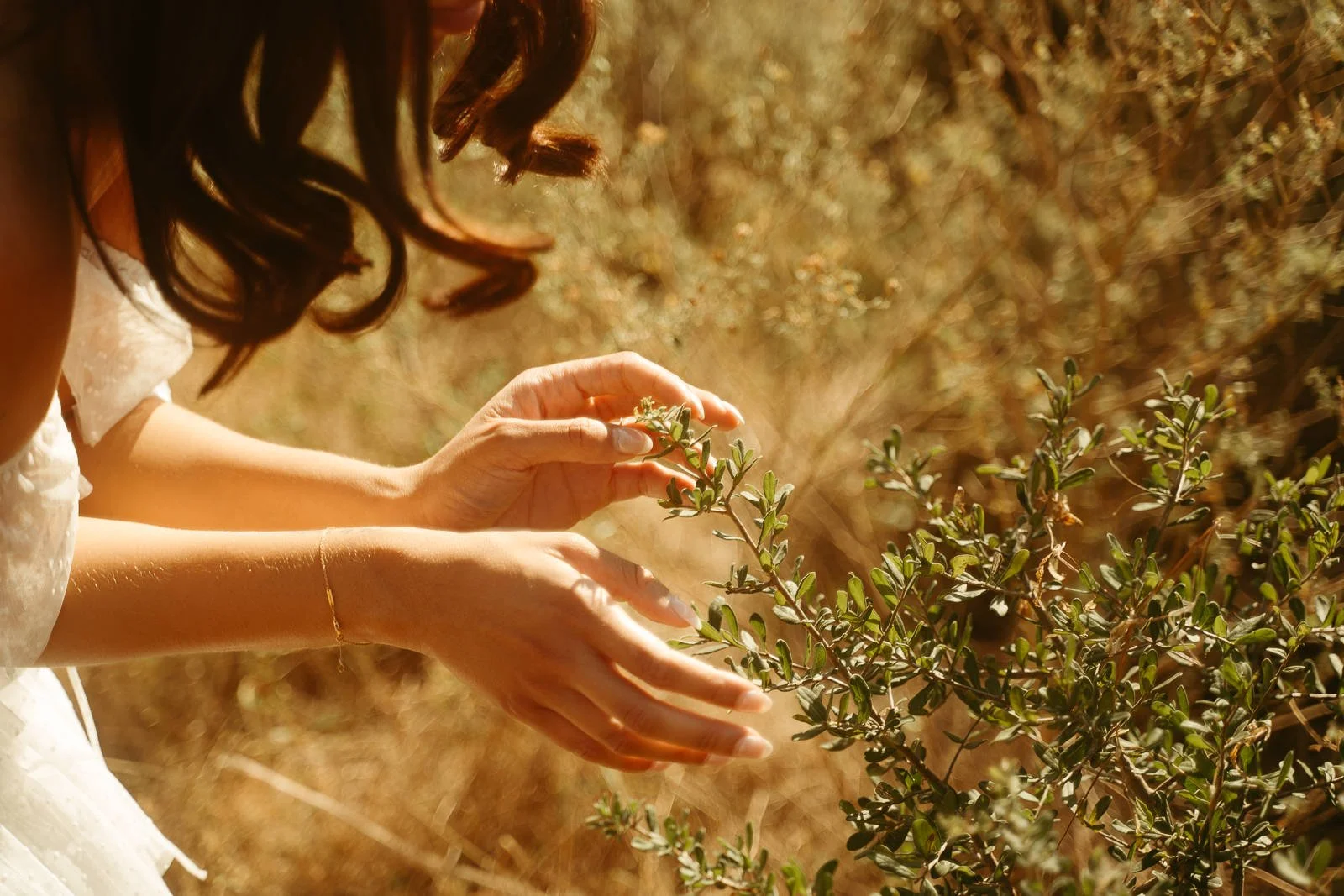 bride looking at the branches of a bush along a sunny trail