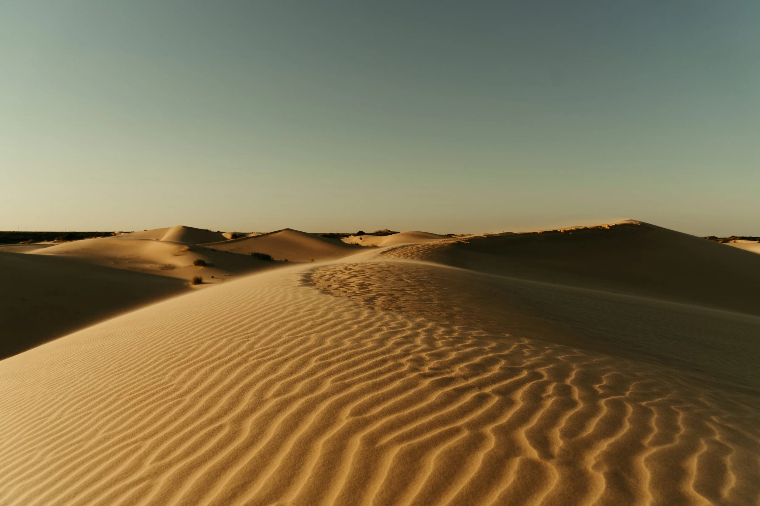 Windswept dunes in the light of sunset at Monahans Sandhills State Park