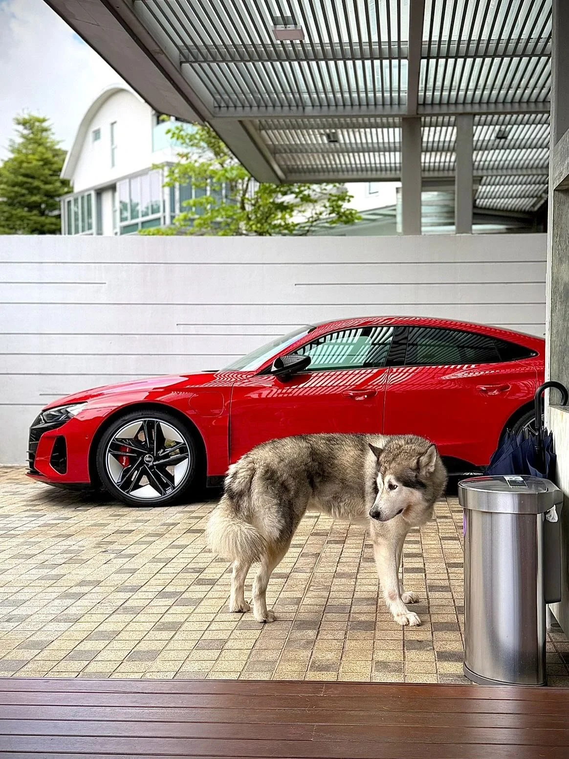 For sale: Husky not included. The Audi RS e-tron GT (Dec 2021) is an electrifying masterpiece that combines breathtaking performance with sustainable luxury. 

The sleek design and premium interior create a sense of sophistication and refinement, whi