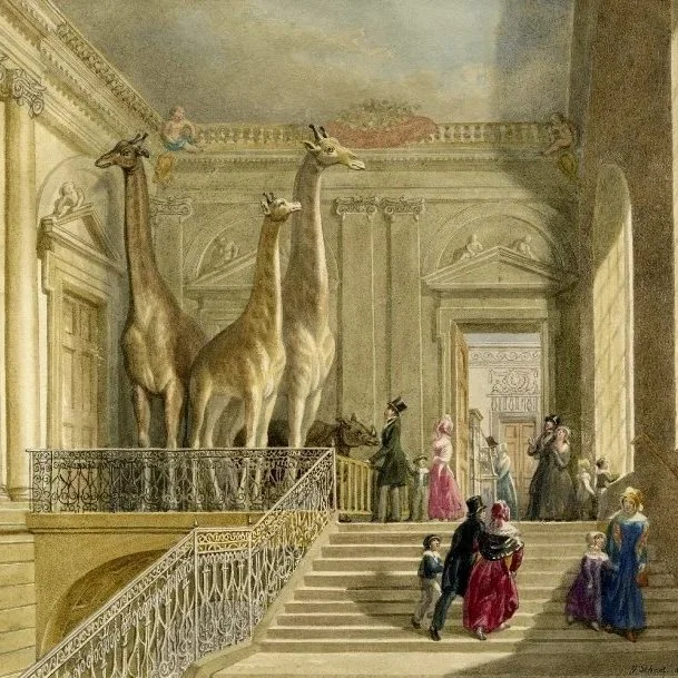 The history of the British Museum