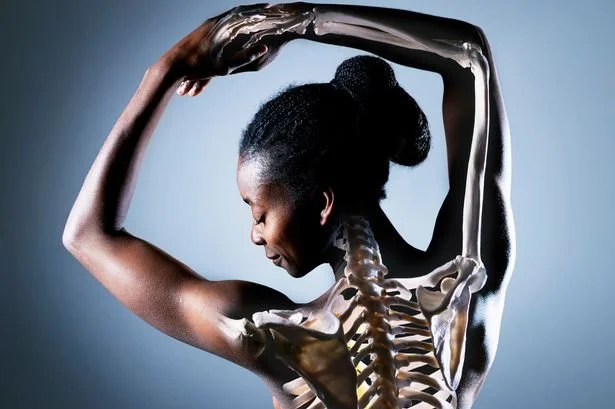 More than Muscle Gain: 5 Reasons Strength Training Will Change Your ...