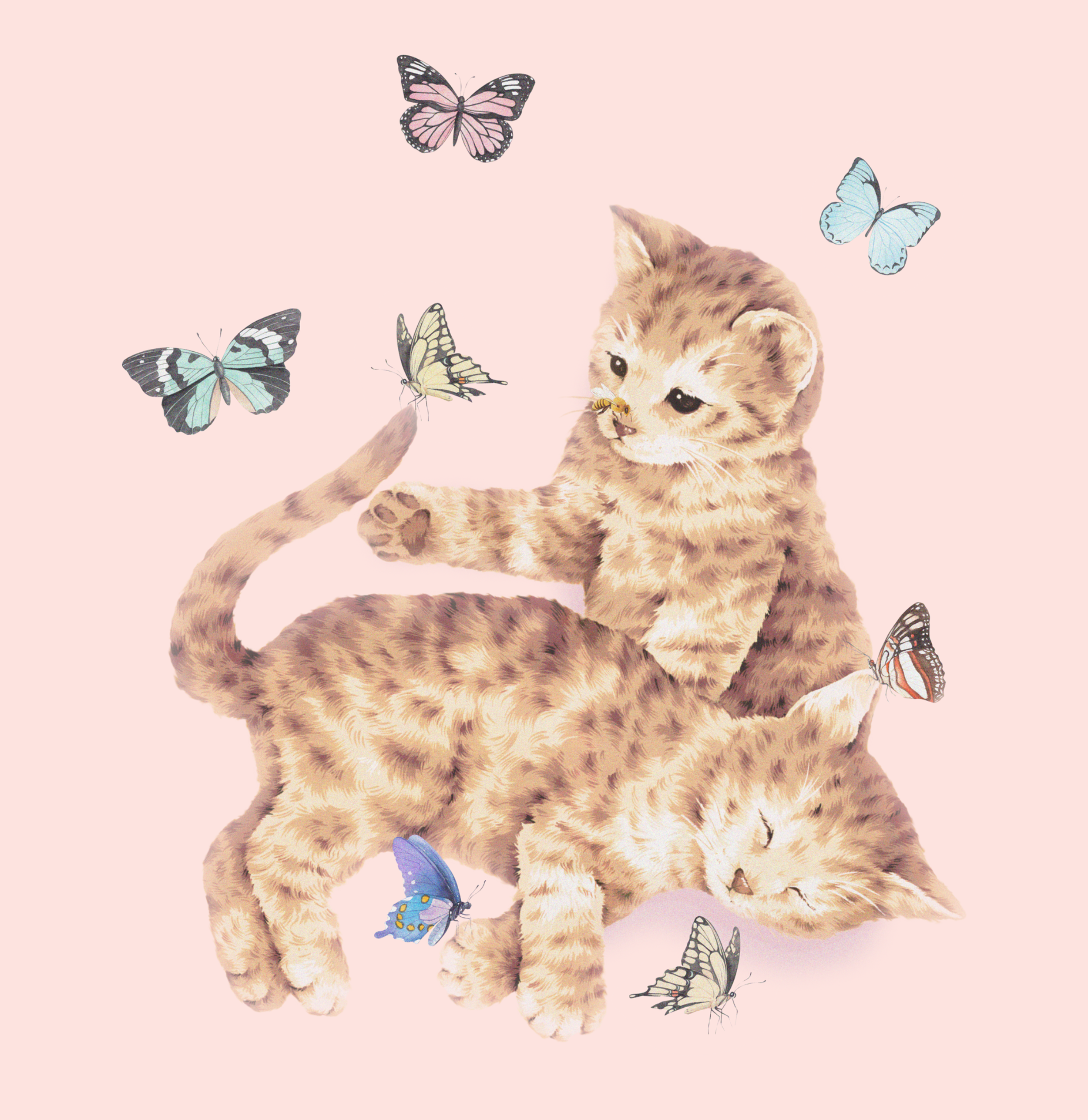 Screen Shot 2022-07-31 at 9.39.06 pm.png