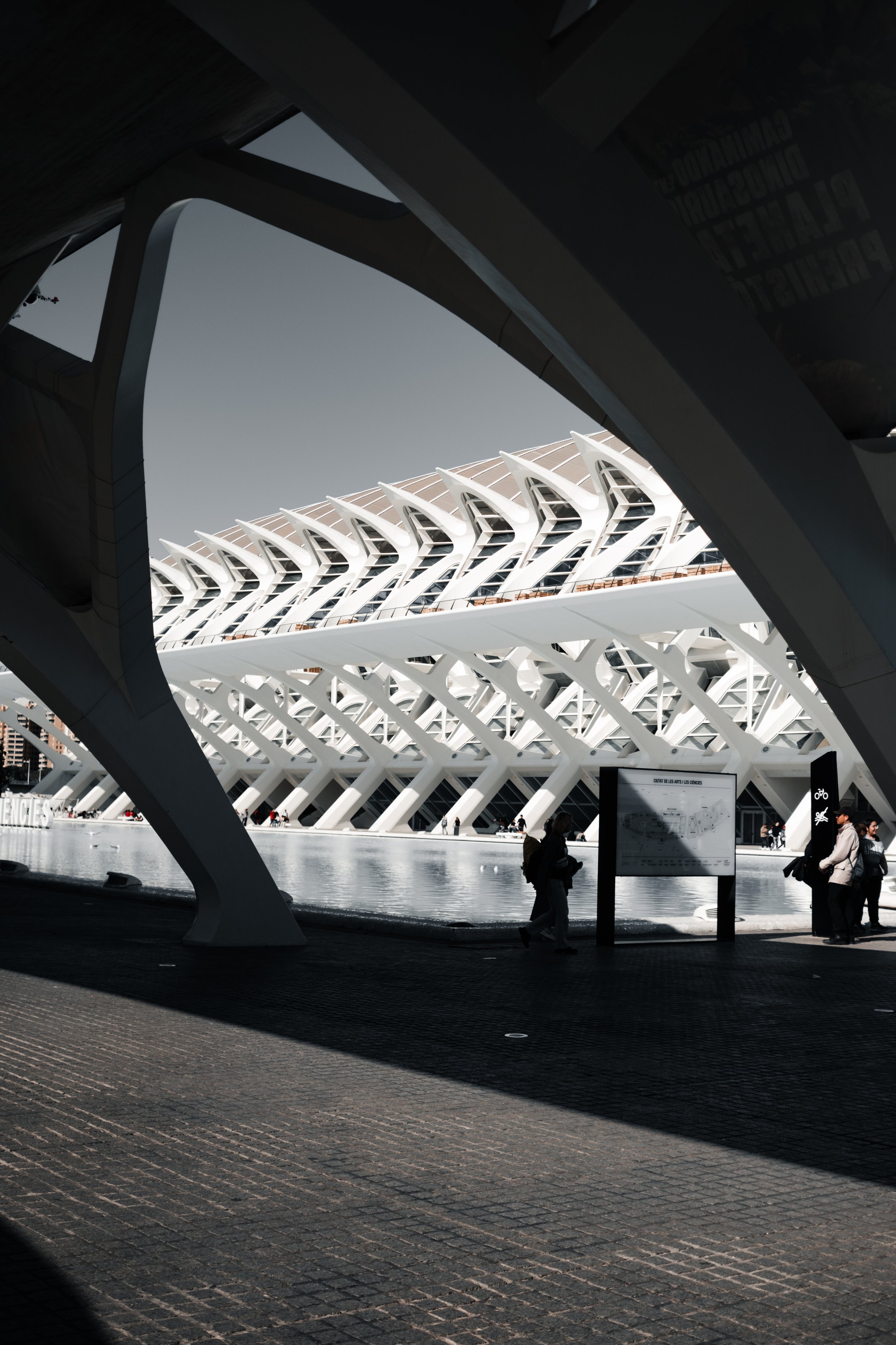 DSCF5707.jpg
