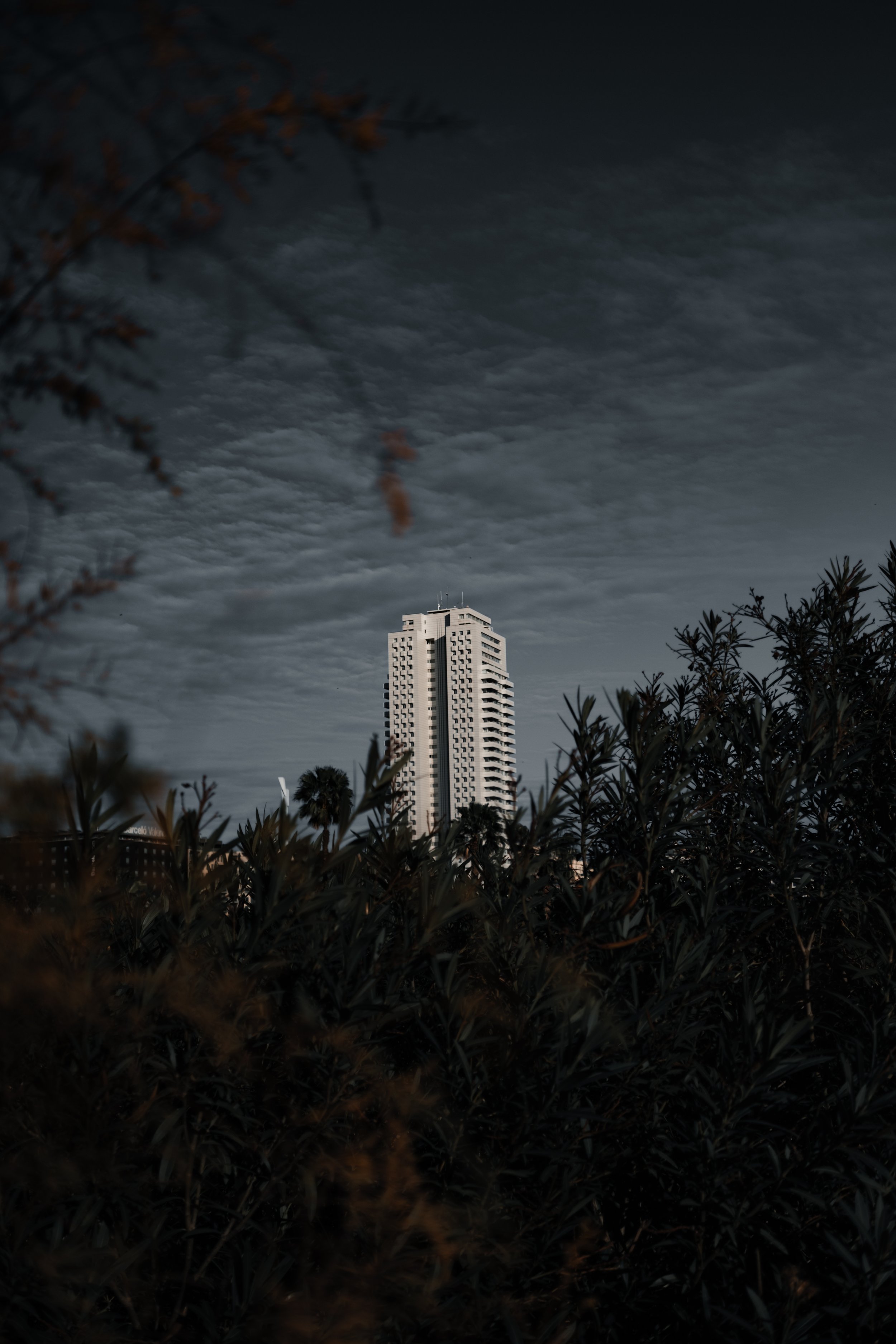 DSCF5743.jpg