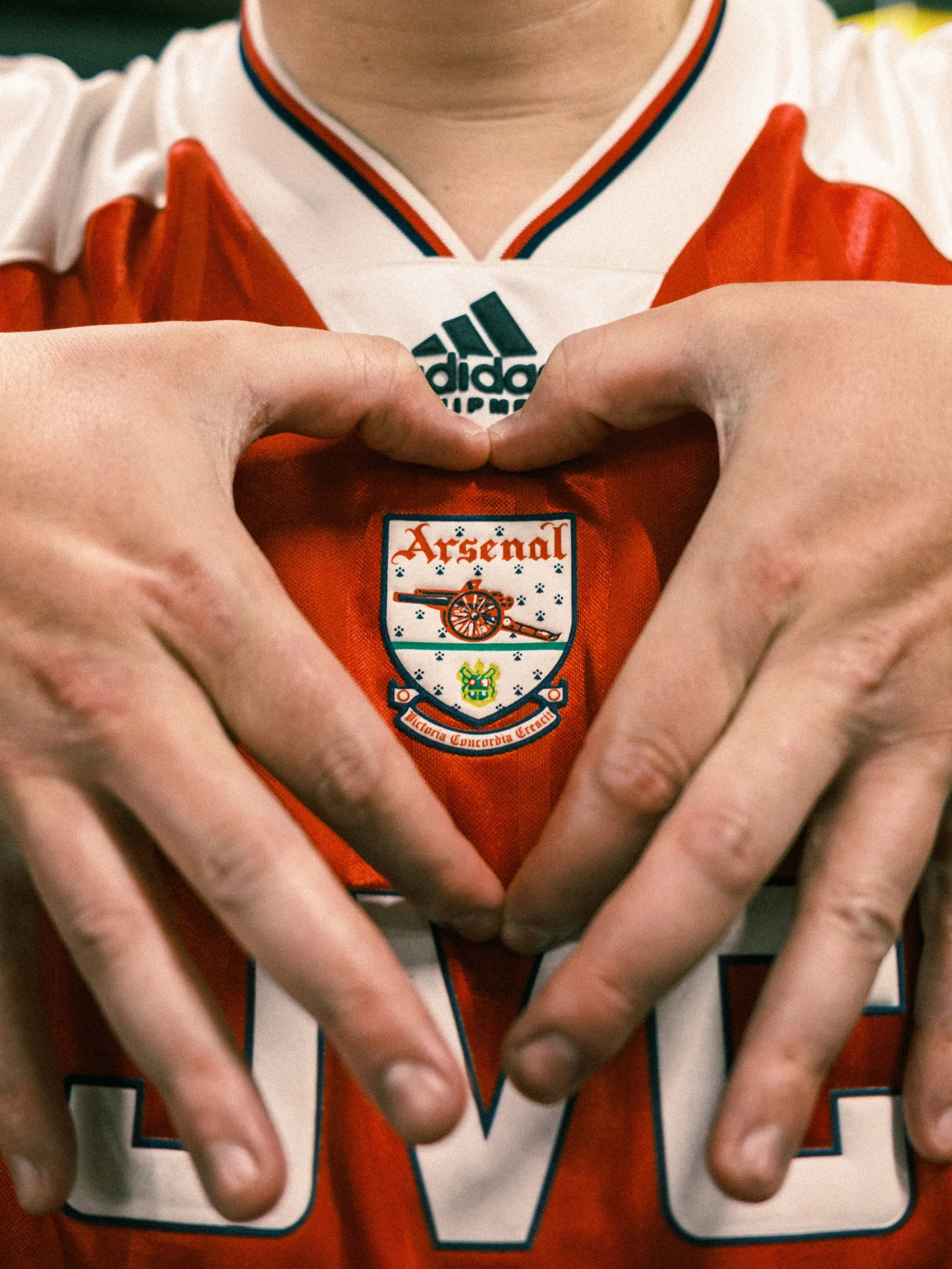 🎵 We love you Arsenal we do 🎵
.
.
#arsenal #lowernorthbank