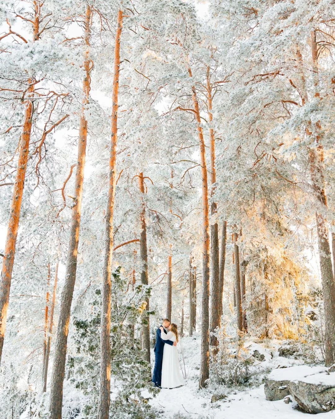 Yksi hienoimmista maisemista, jossa olen p&auml;&auml;ssyt h&auml;&auml;kuvia ottamaan. 😍❄️

#talvih&auml;&auml;t #h&auml;&auml;t2026 #h&auml;&auml;kuvaus