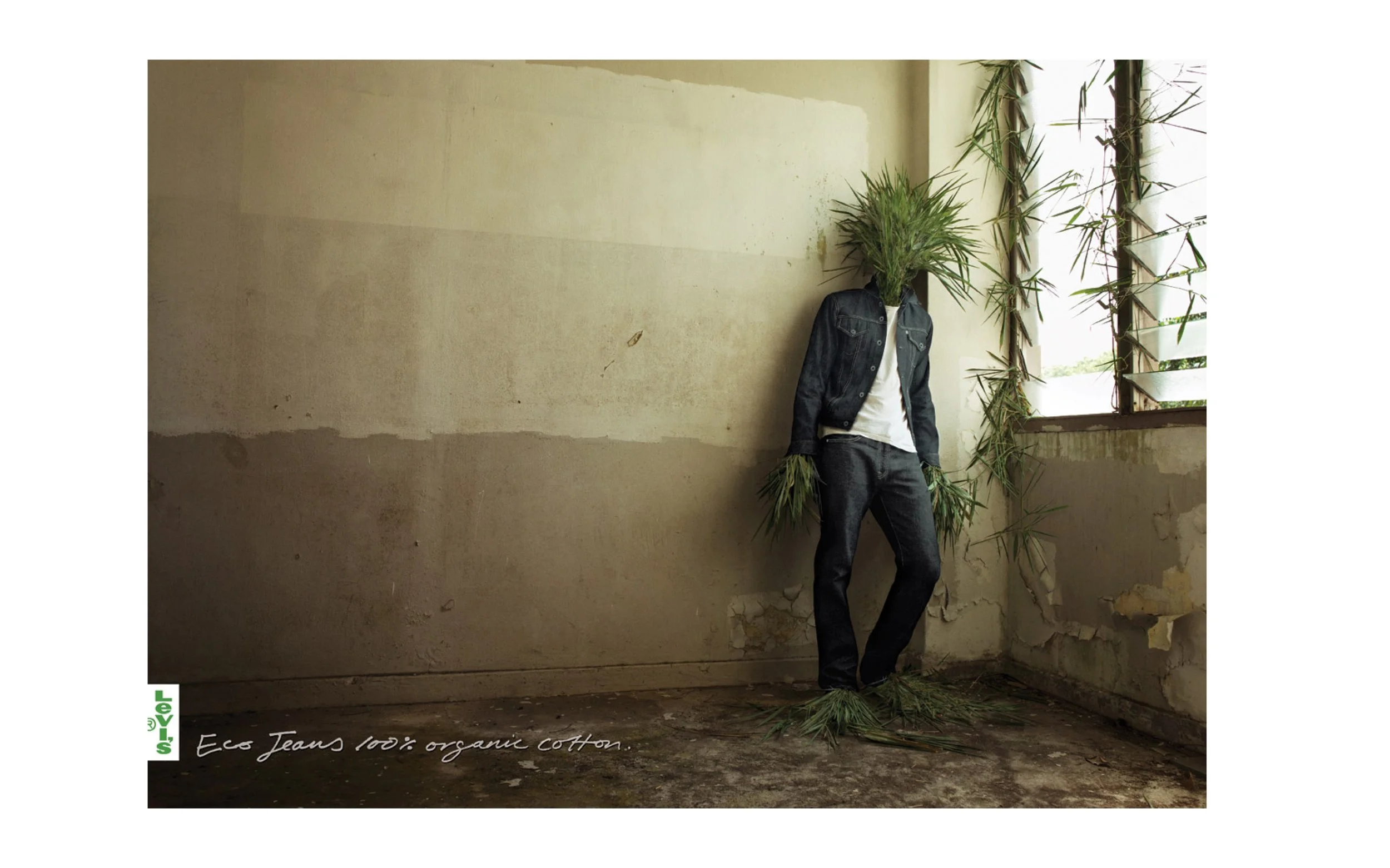 Levi's NEW5.jpg