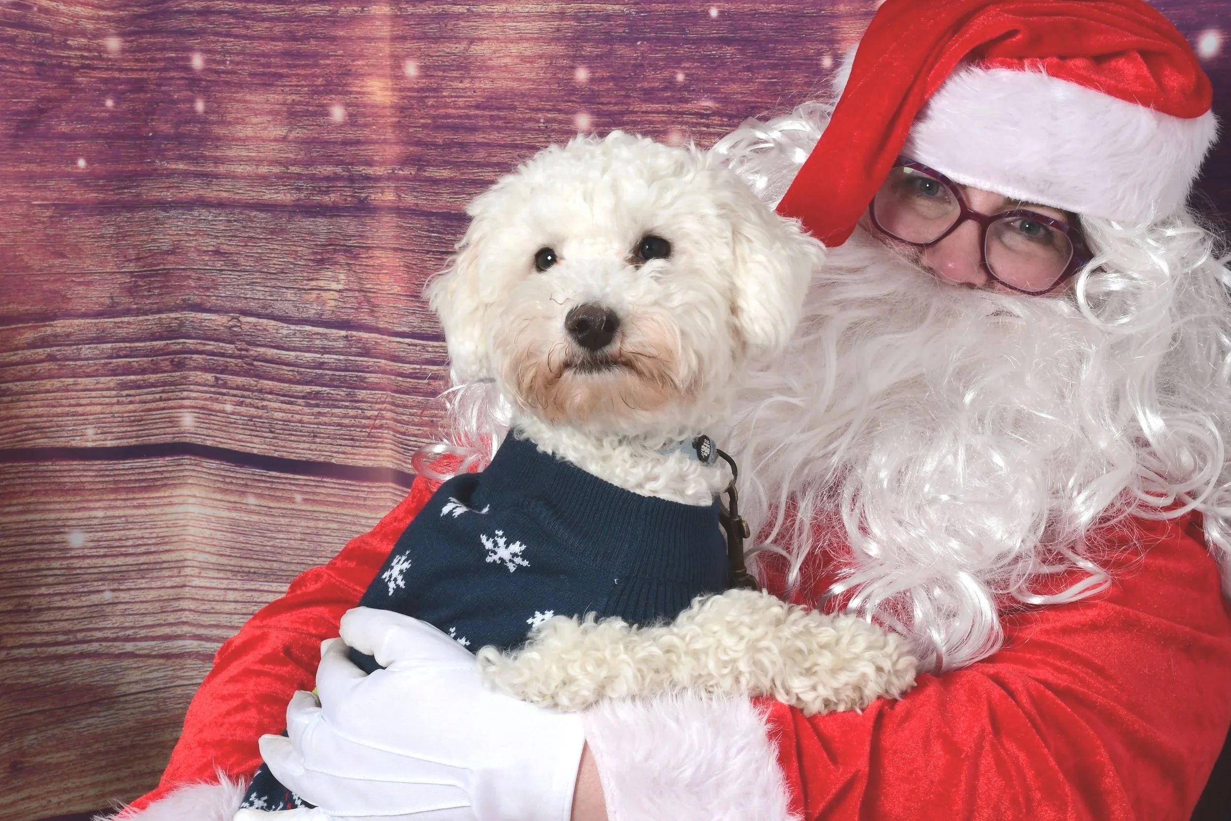 USPCA Santa Paws                  charity photoshoot.