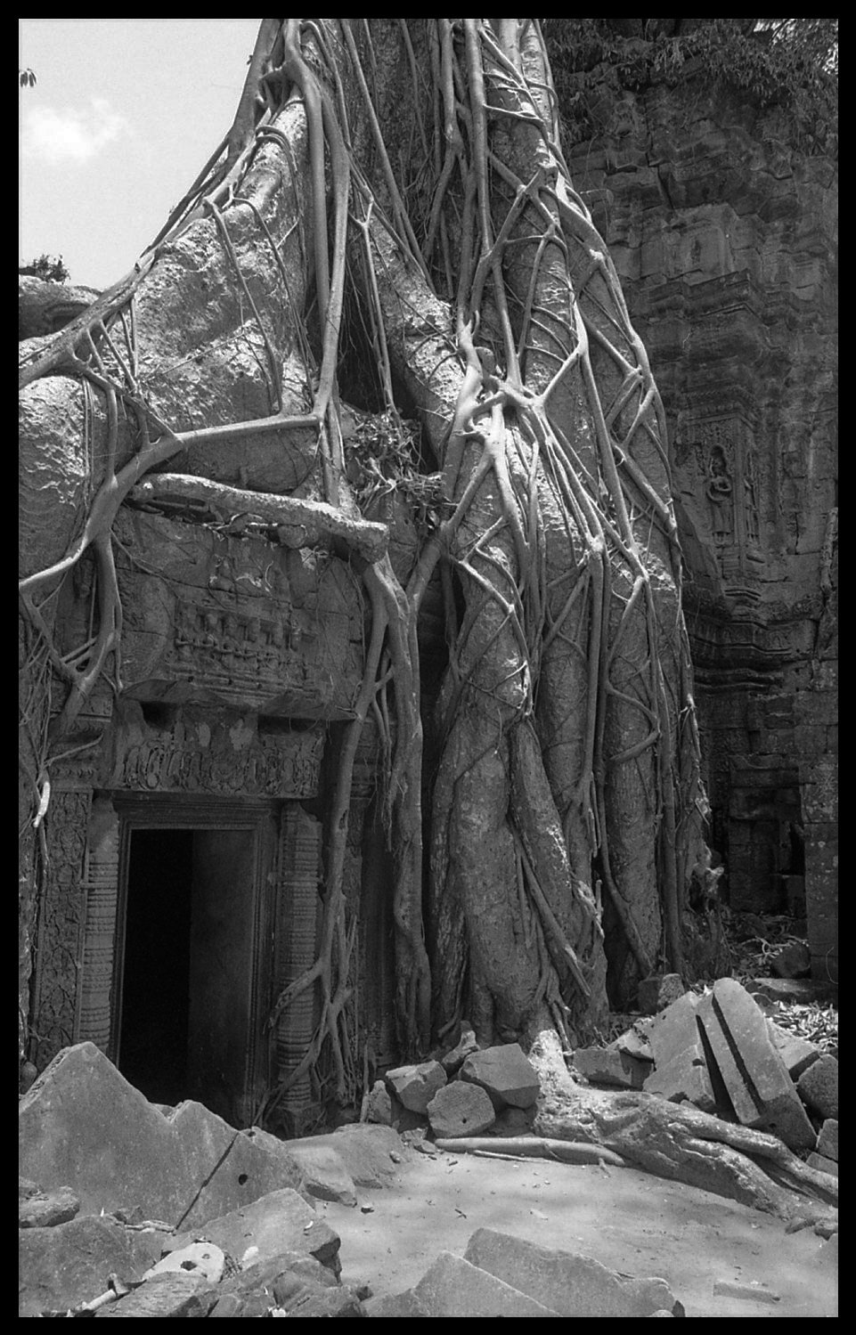 Overgrown ruins at Angkor, Cambodia.
