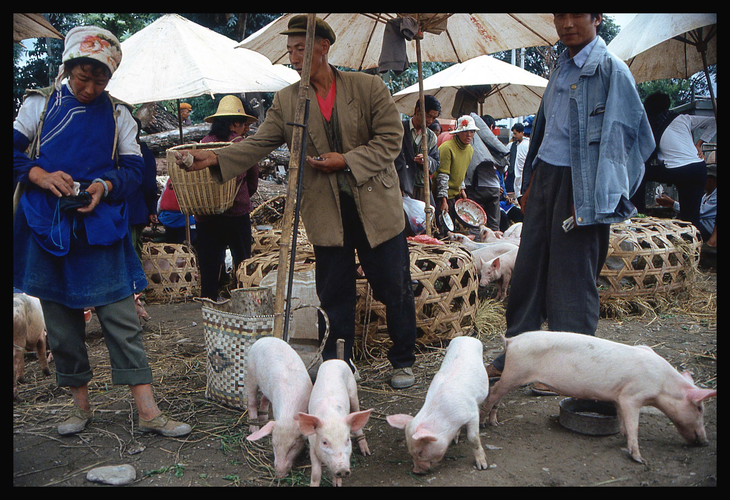 Livestock market, China.