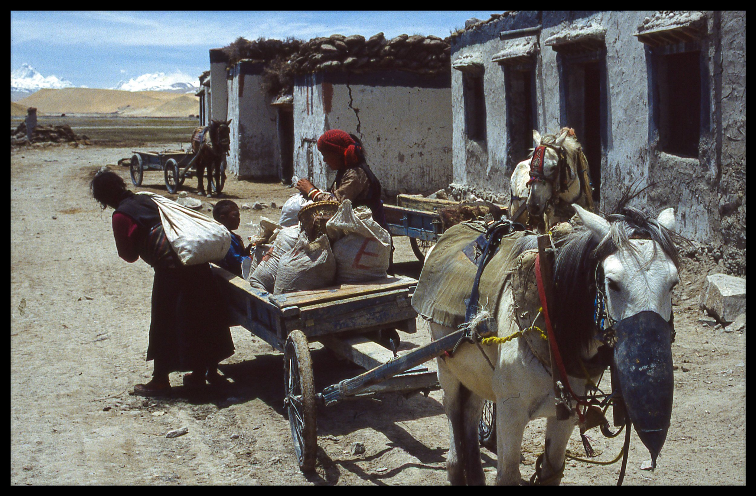 Tough going at high altitude for Tibetans.