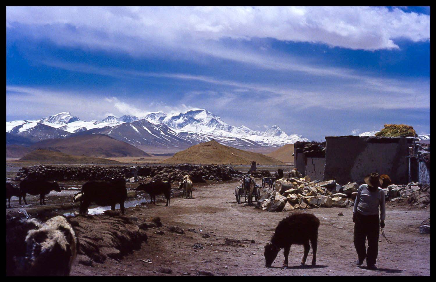 The top of the world. Tibet.