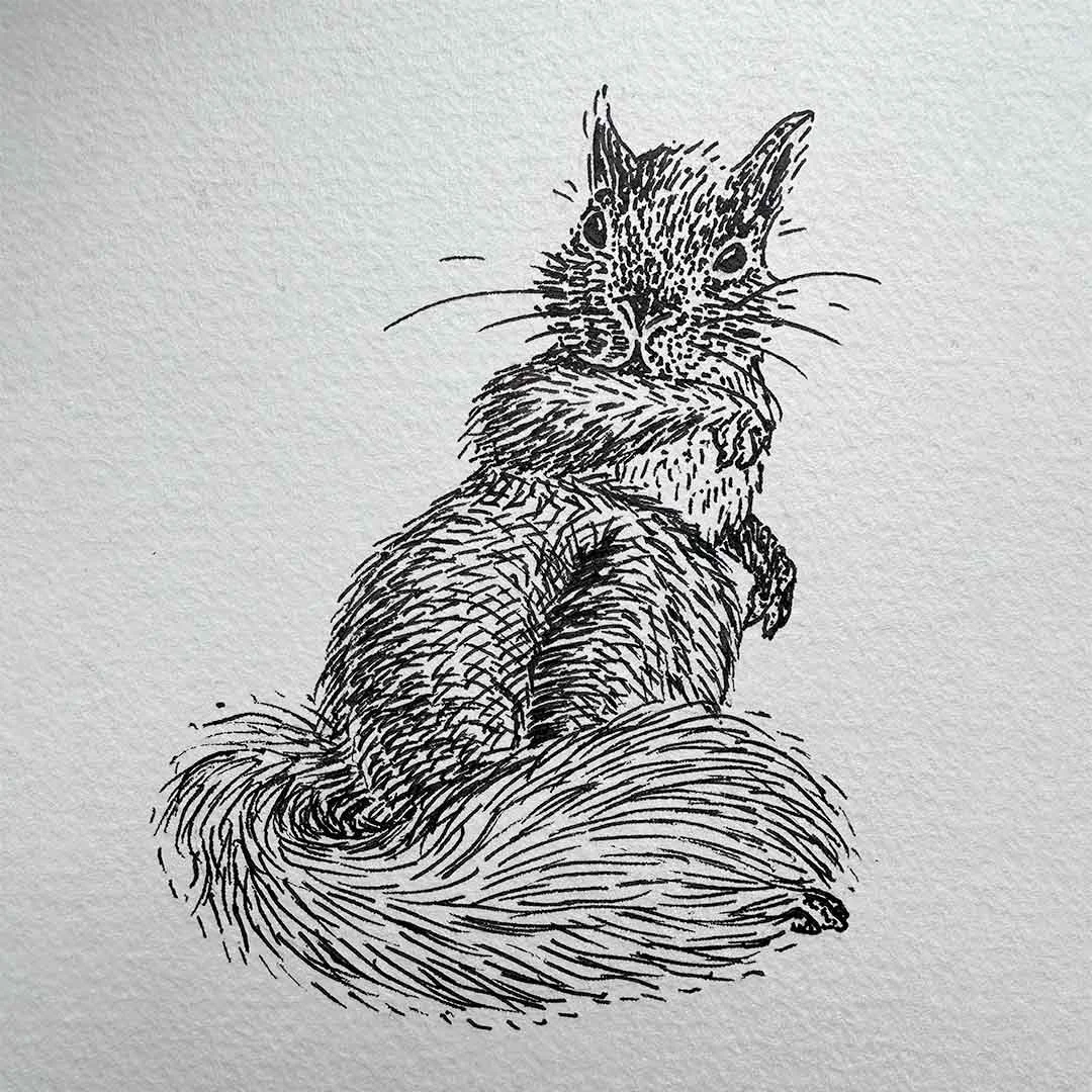 Squirrel copy.jpg
