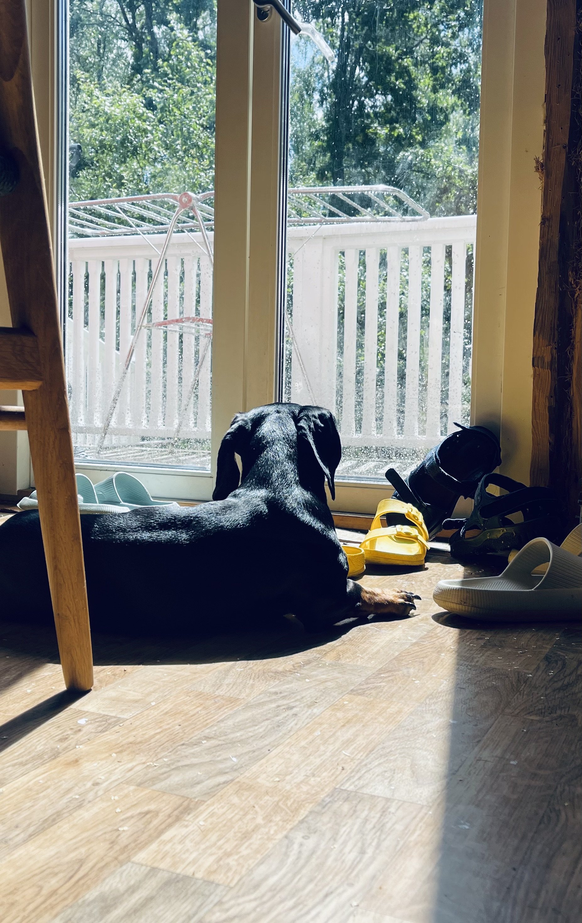 IMG_3932.jpeg