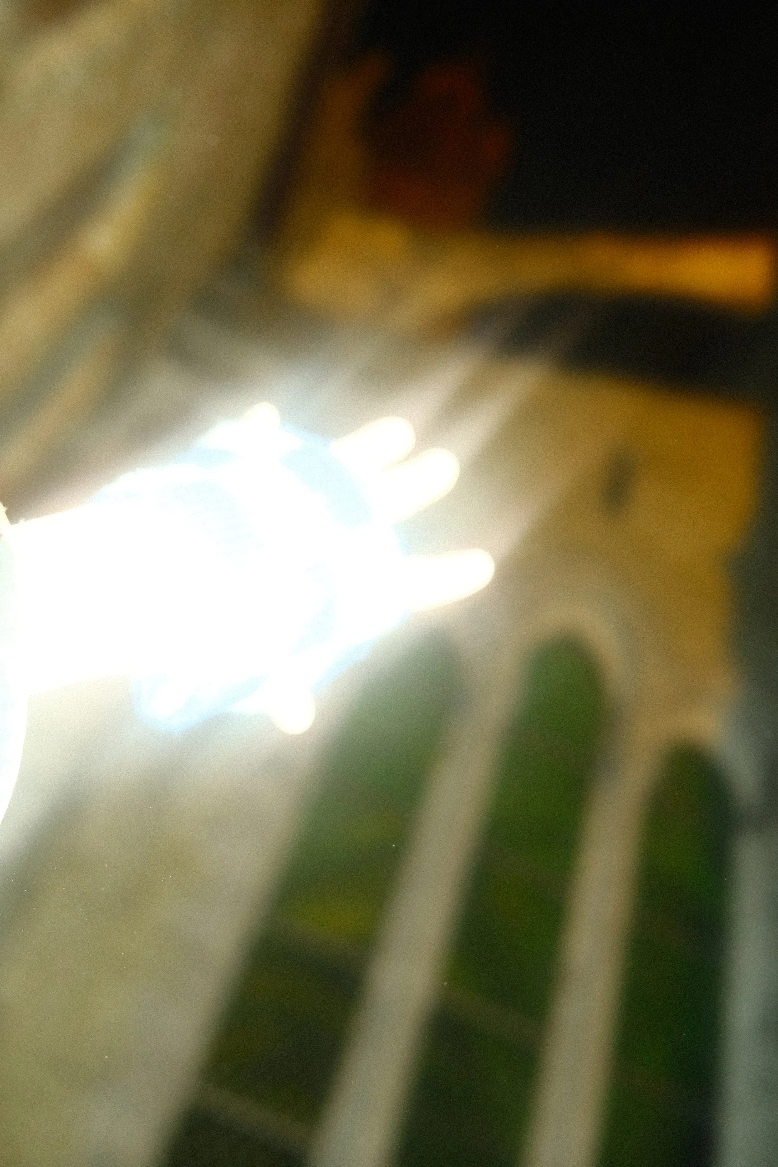 DSCF7216.JPG