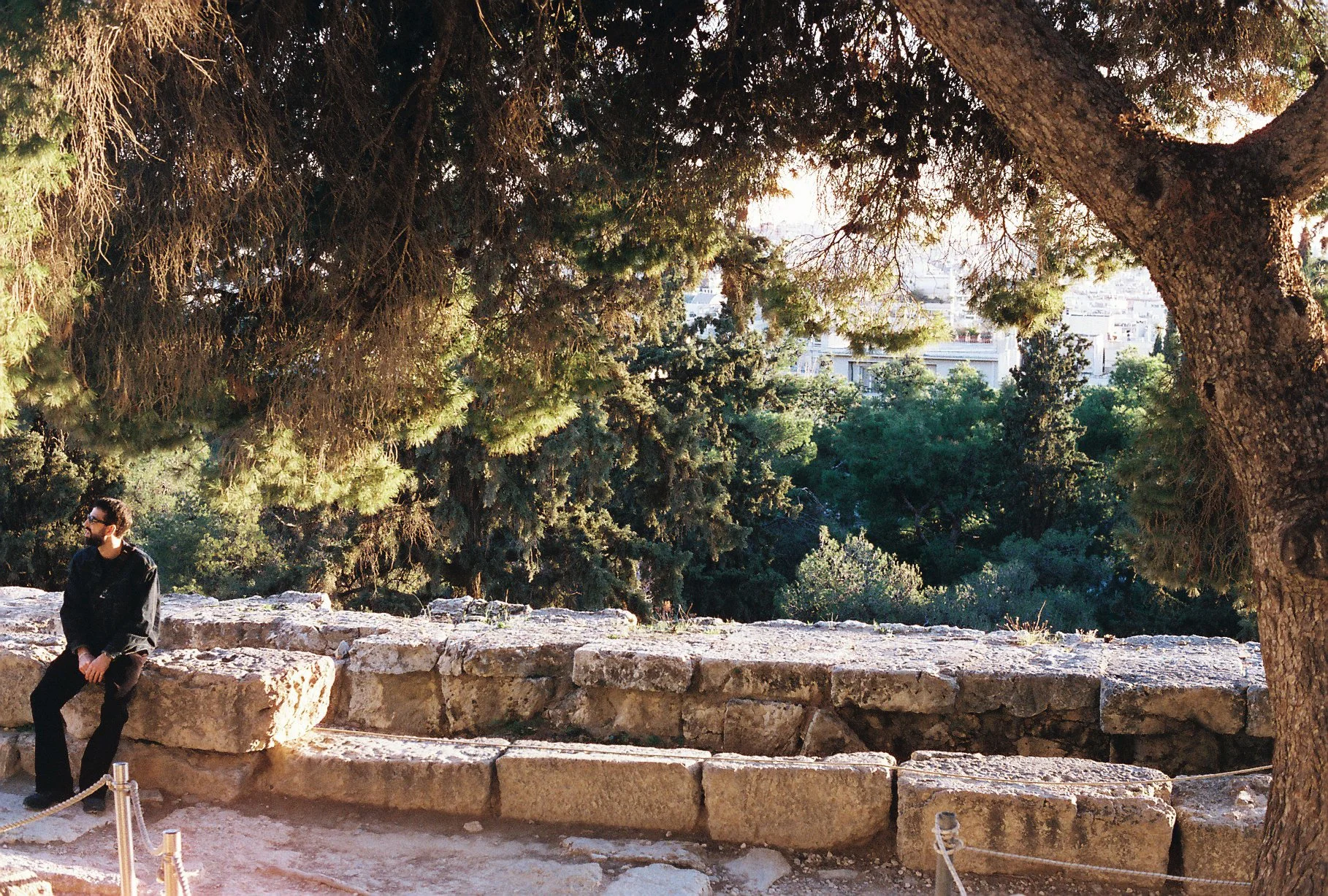 A man in sunglasses and a black jacket sitting on a large stone bench under tall pine trees with a cityscape in the background, sunlight filtering through the branches.