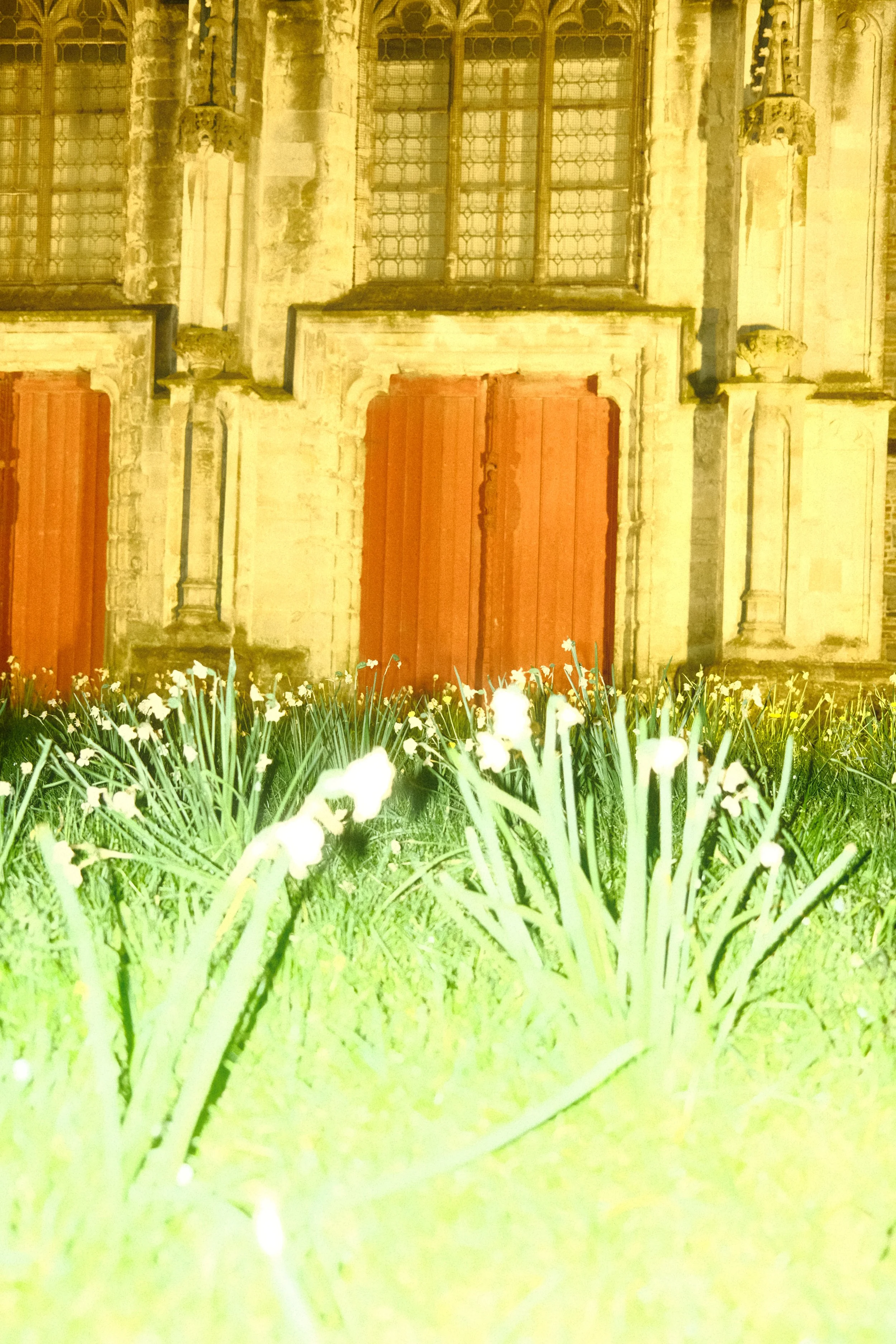 DSCF7221.JPG
