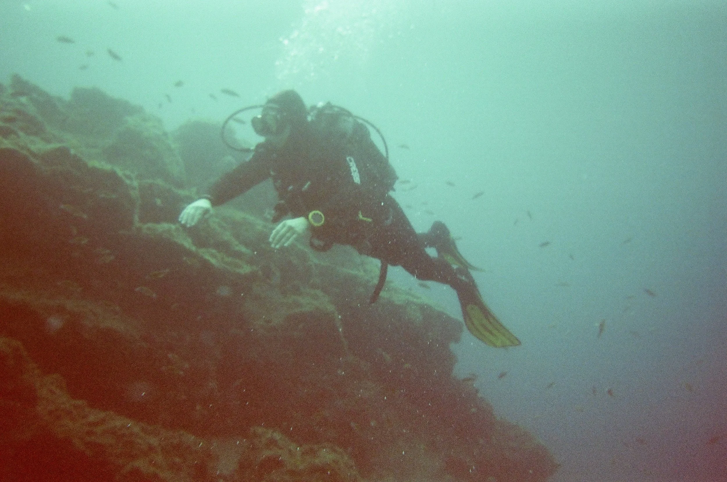 A scuba diver underwater near a rock formation, with small fish swimming around.