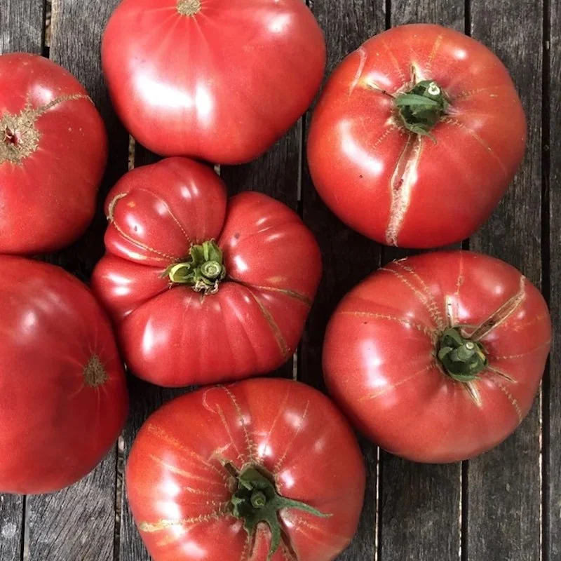 Tomato Rosa de Barbastro Seeds