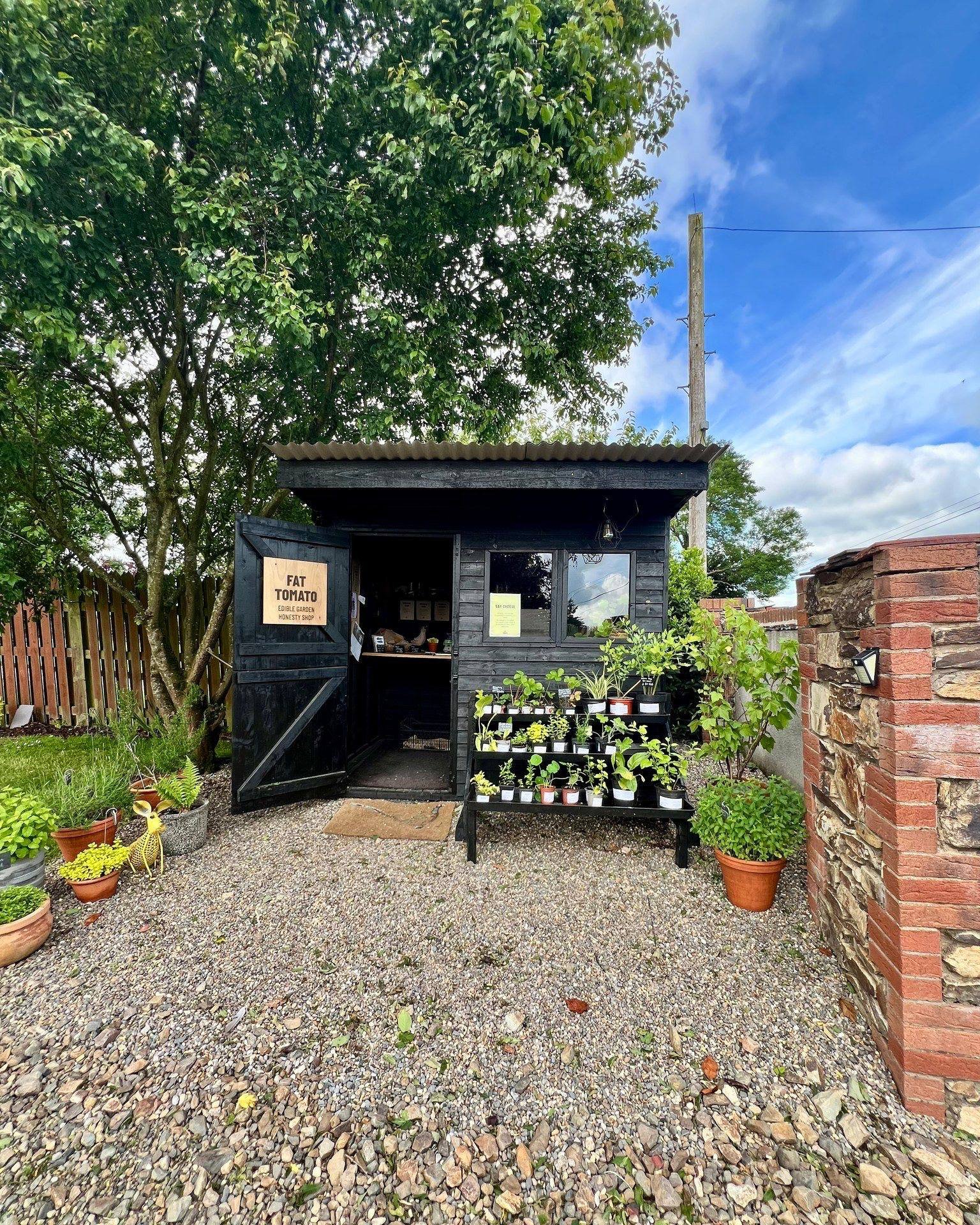 🌿 Plant shelves are looking lush at the Honesty Farm Shop this weekend 🌿

We&rsquo;ve stocked up with a beautiful variety of edible plants to bring flavour, fragrance, and colour to your windowsills, gardens, and plates &mdash; with more appearing 