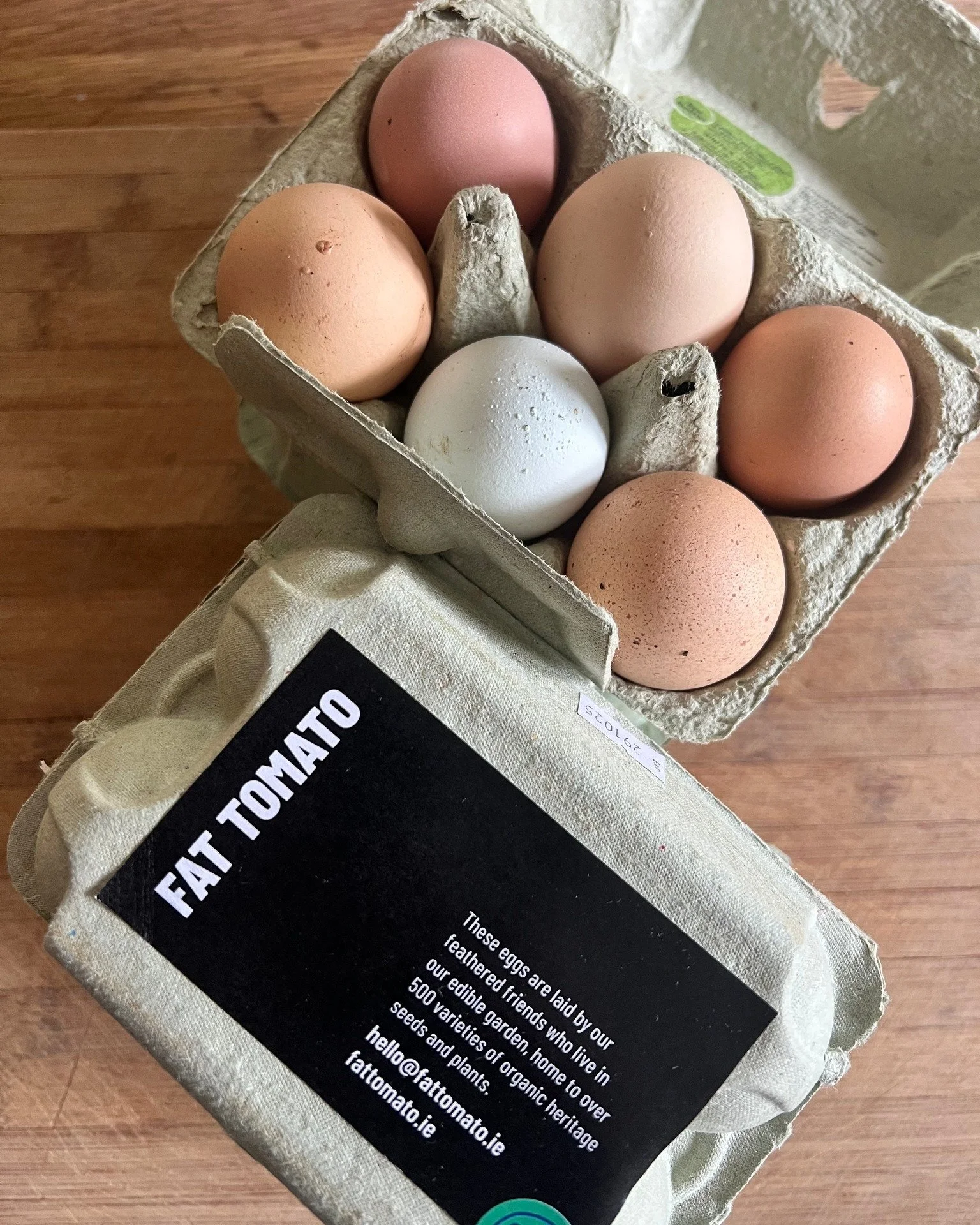 π Autumn mornings at Fat Tomato π
The leaves are falling and we’re busy clearing the garden to give it a well-deserved rest for the winter - the hens’ favourite time of year π
They get all the spoiled tomatoes, courgette plants, and