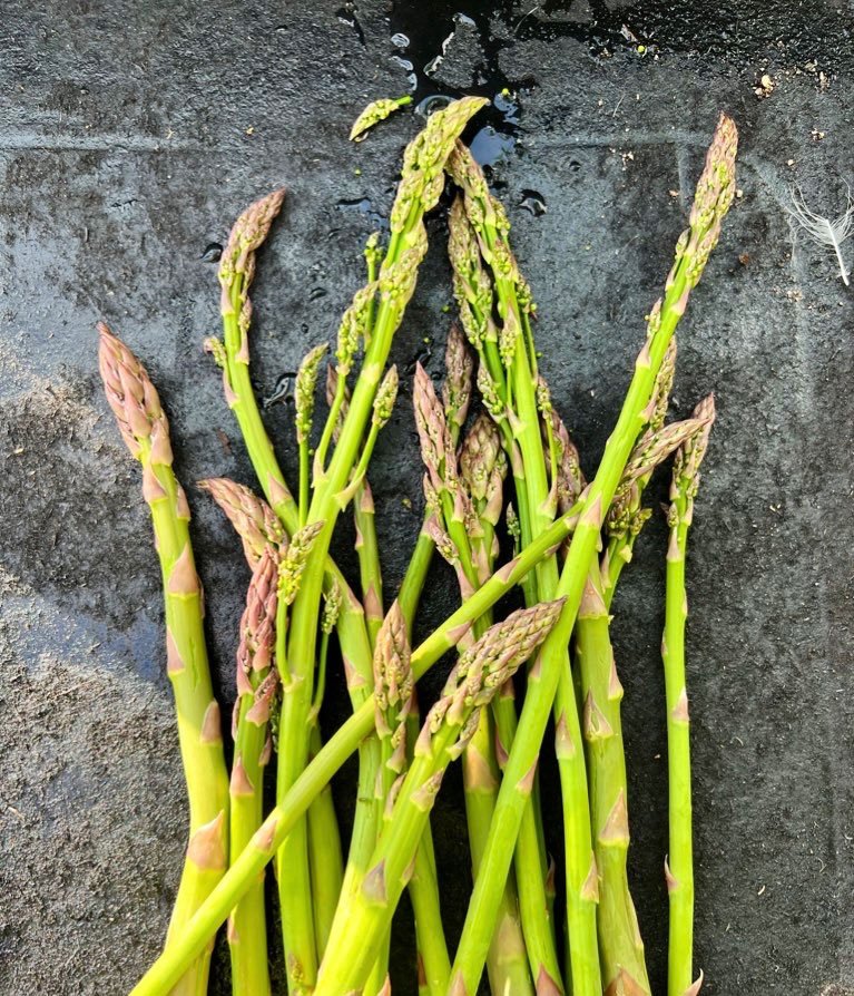 Irish grown asparagus