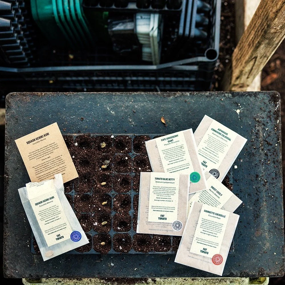 Fat-Tomato-Garden-Seeds-Sowing.jpg