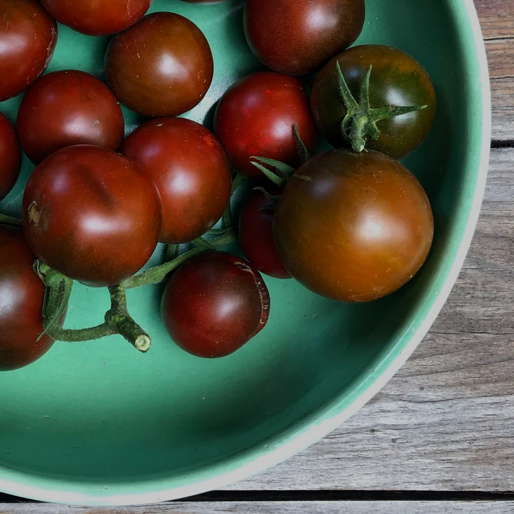 Fat Tomato Tomato Purple Prince Seeds