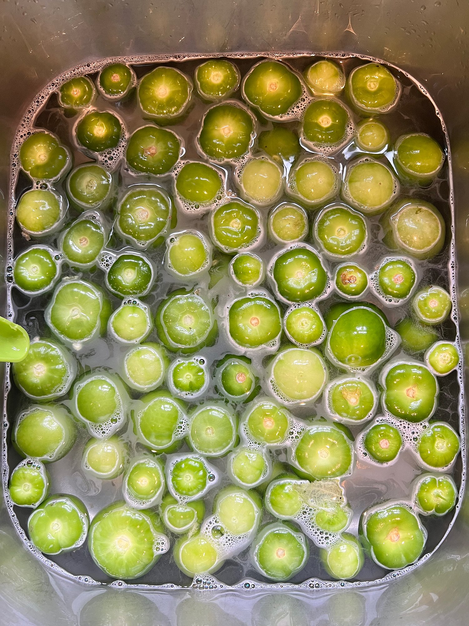 Giant Green Tomatillos