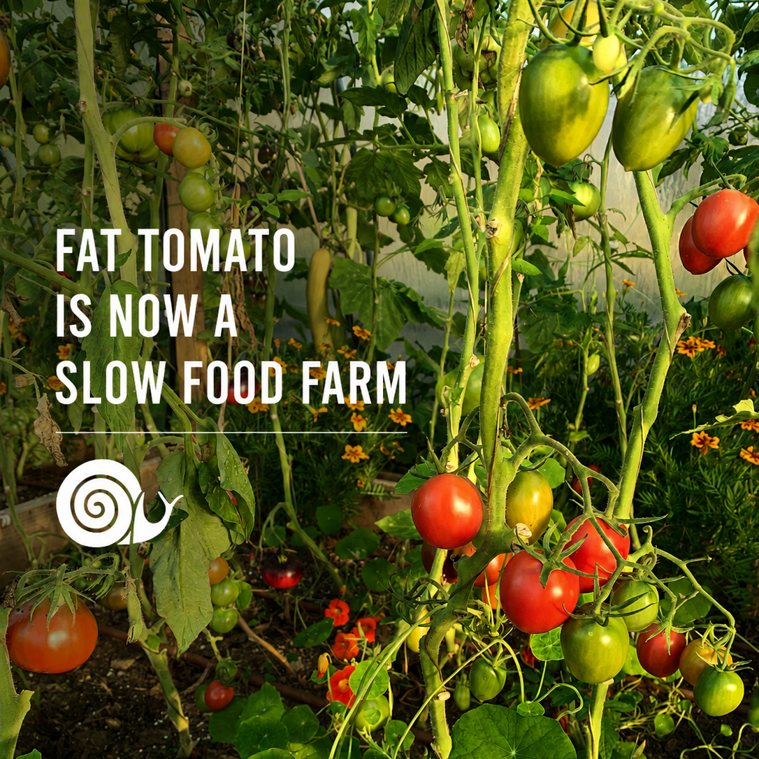 Fat Tomato Slow Food Farm