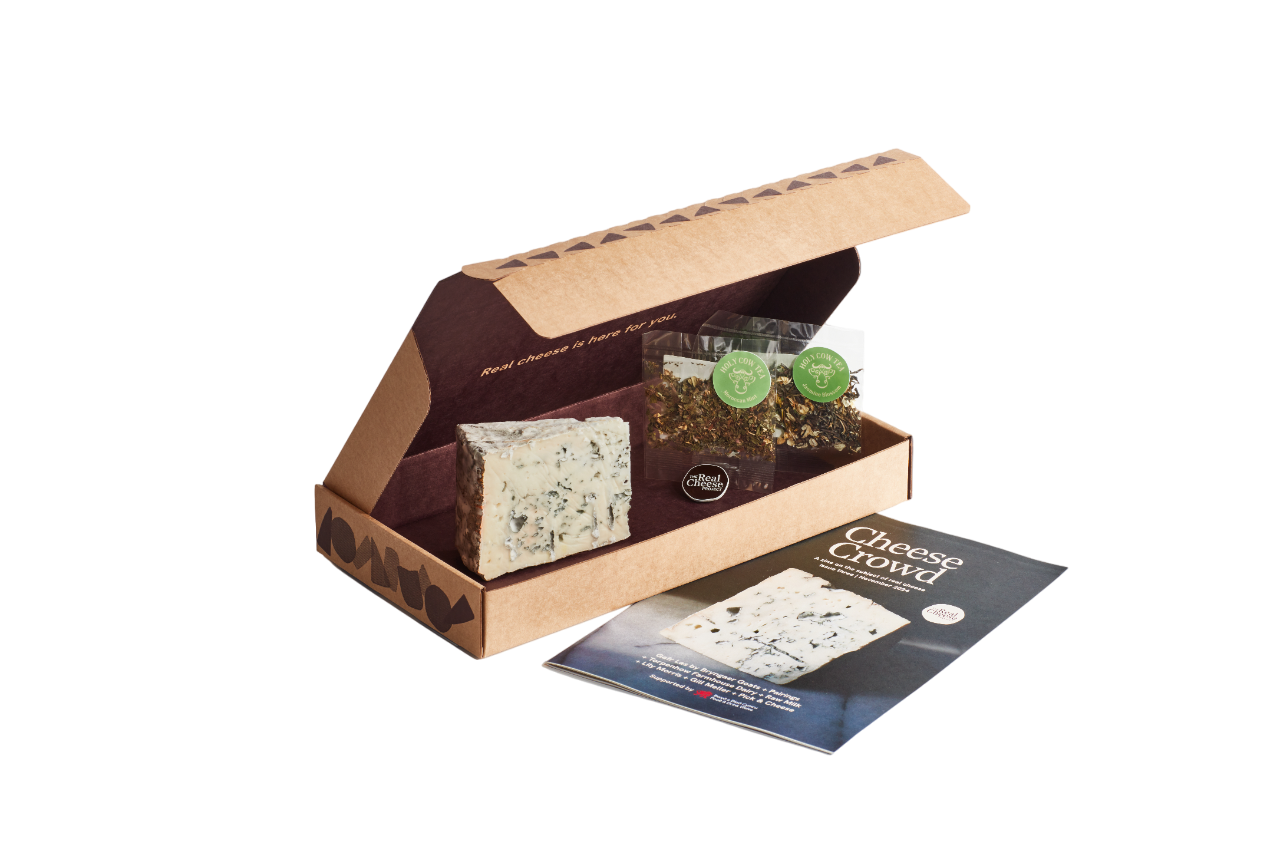 A cheese tasting kit with a wedge of blue cheese, two packets of herbs, and a cheese-themed pamphlet inside a cardboard box.