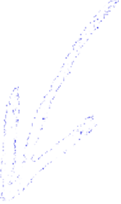 A white, hand-drawn style arrow, pointing down and to the left.