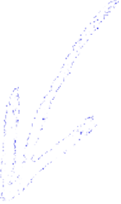 A white, hand-drawn style arrow, pointing down and to the left.