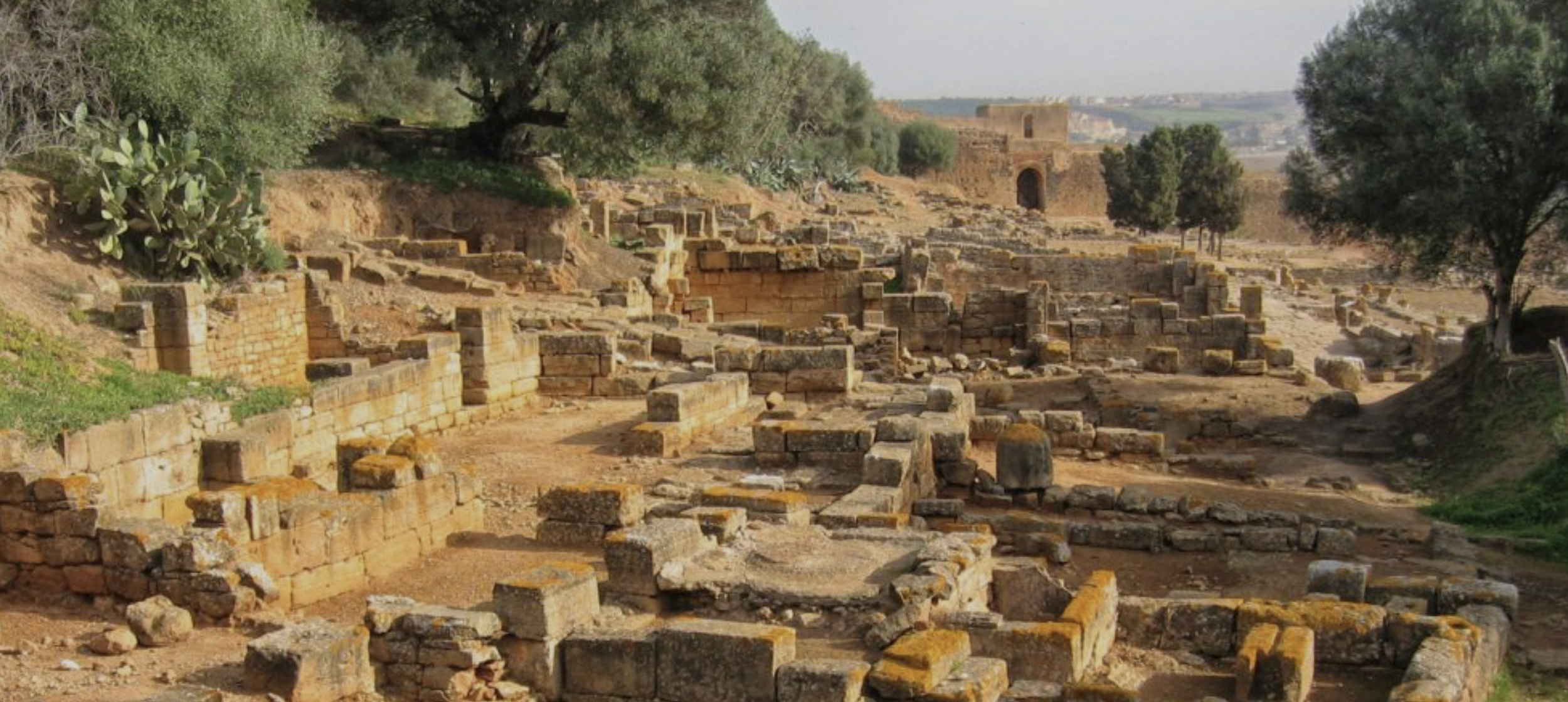 Chellah Necropolis.png