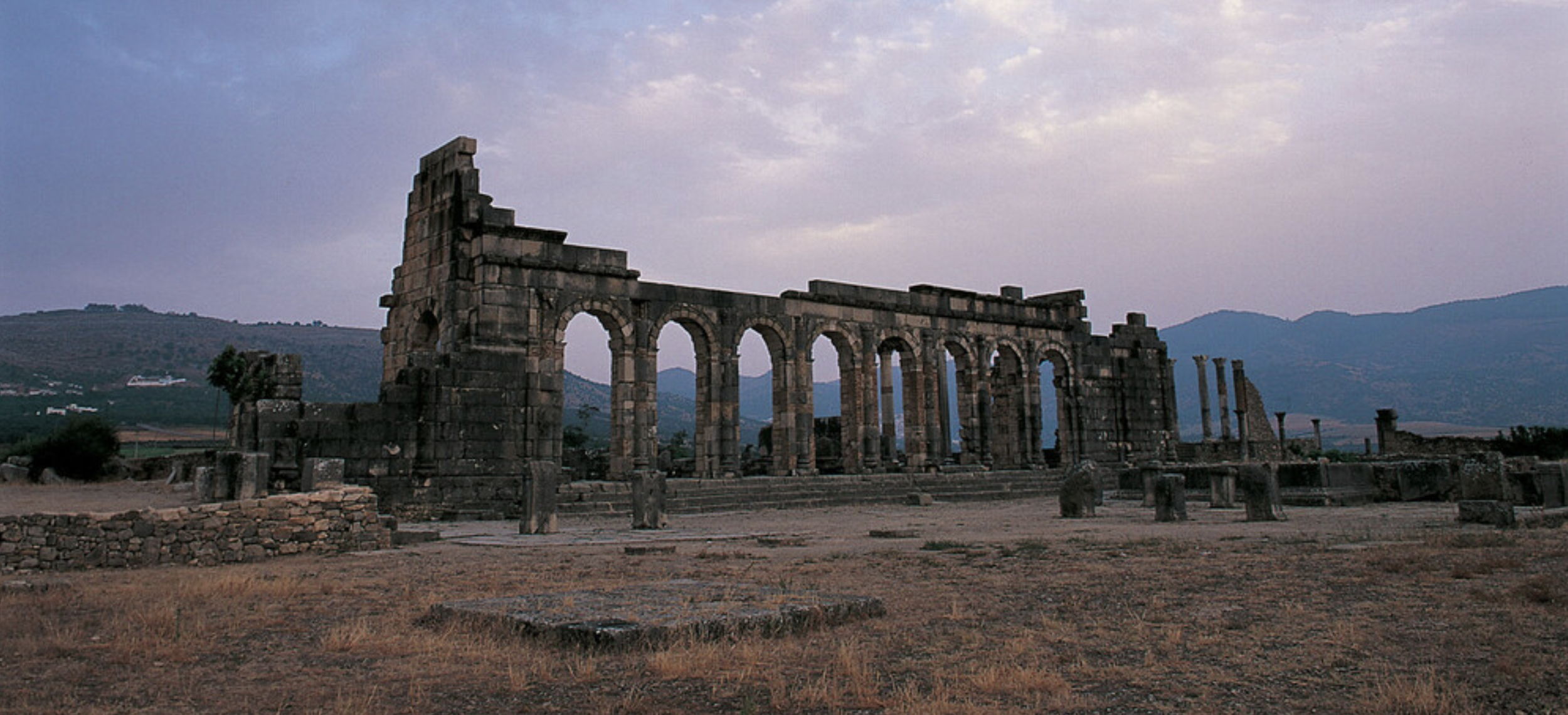 Volubilis wide.png