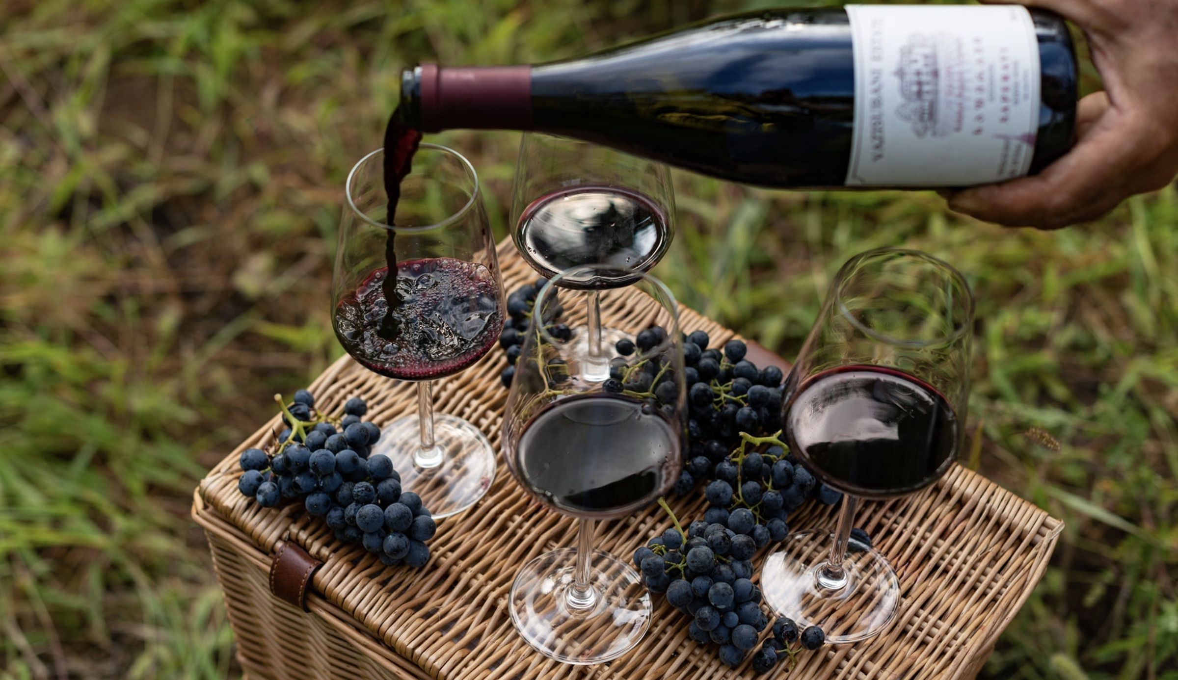 Georgia Wine.png